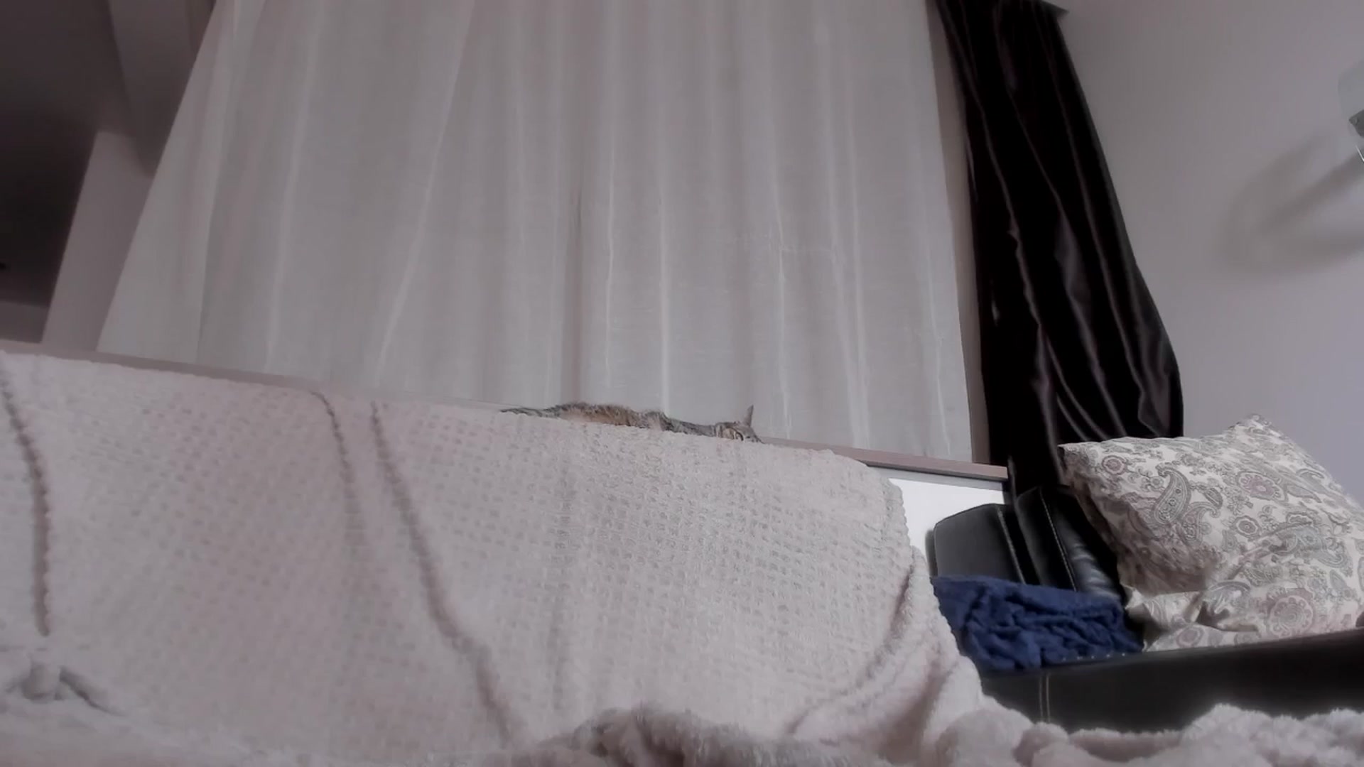 Gallery image thumbnail from Caroline_Bell's myfreecams stream on, 08/30/2024, 13:34 image 8 of 20