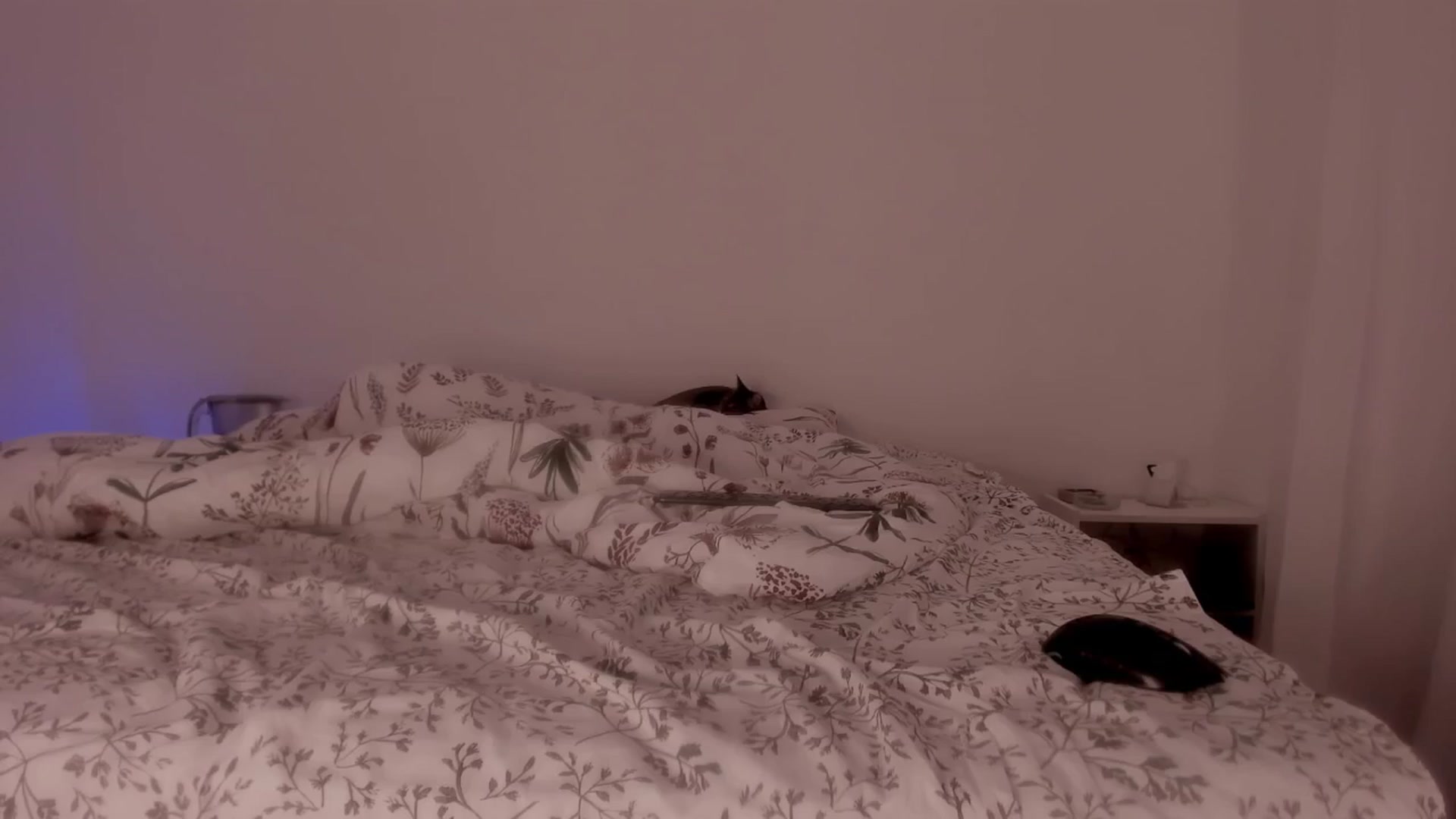 Gallery image thumbnail from Caroline_Bell's myfreecams stream on, 02/18/2025, 14:24 image 14 of 20