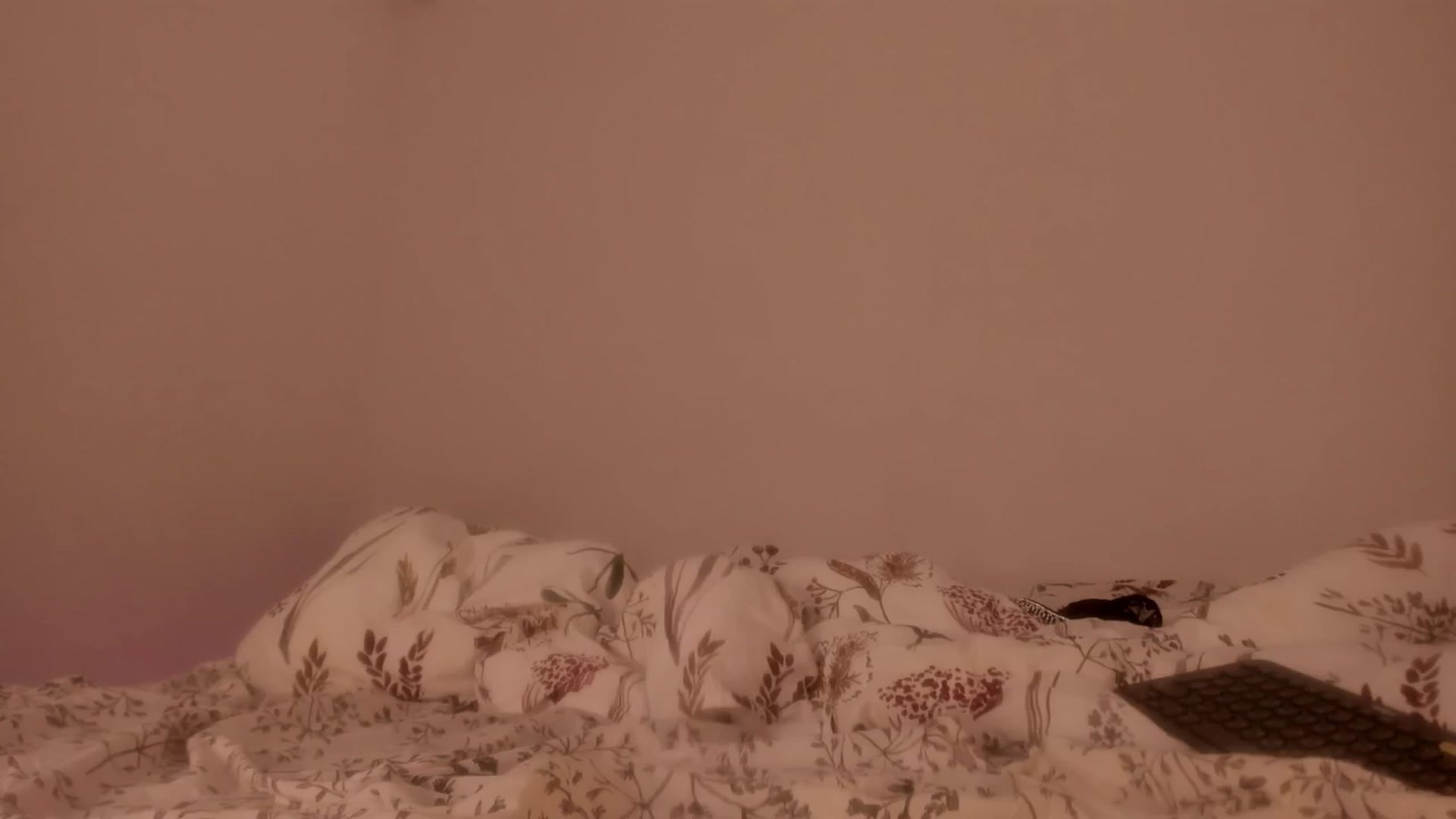 Gallery image thumbnail from Caroline_Bell's myfreecams stream on, 05/07/2025, 11:32 image 8 of 20