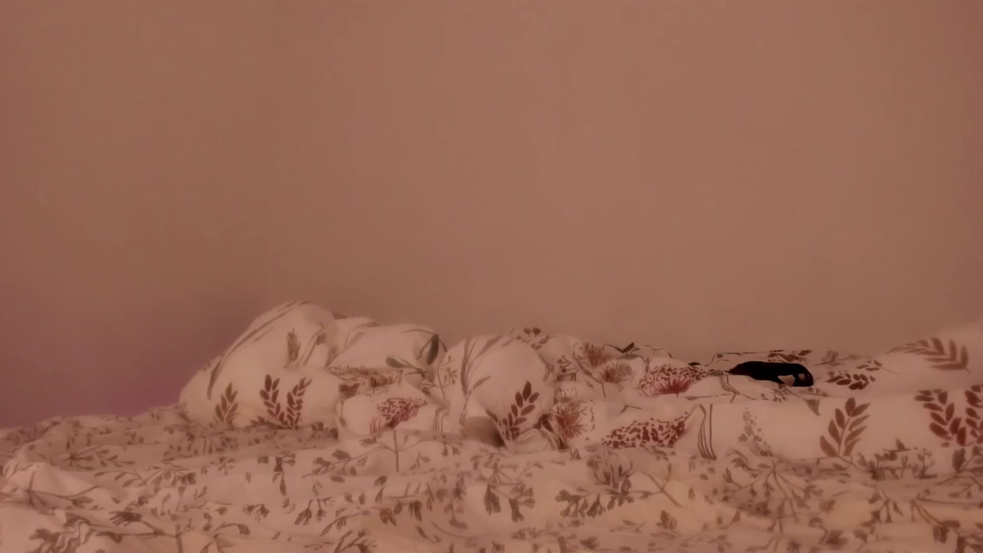 Gallery image thumbnail from Caroline_Bell's myfreecams stream on, 05/07/2025, 11:32 image 15 of 20