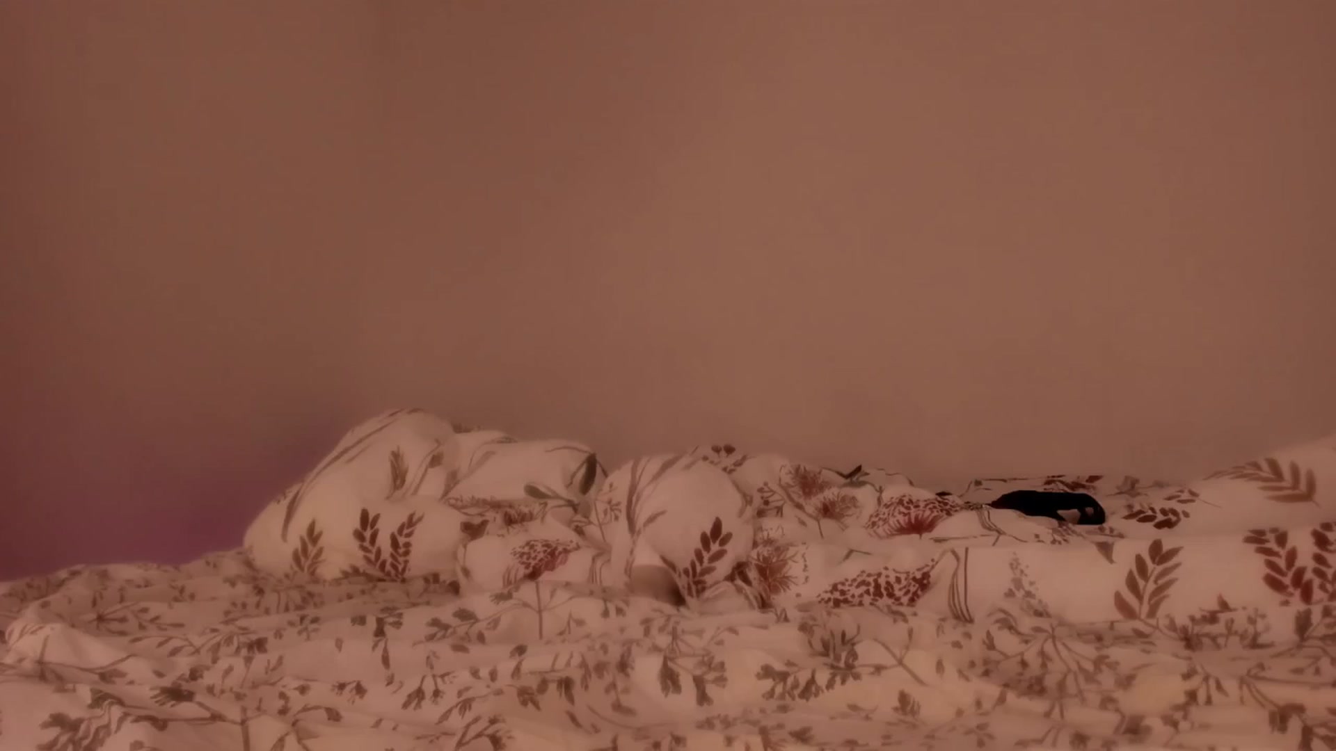 Gallery image thumbnail from Caroline_Bell's myfreecams stream on, 05/07/2025, 11:32 image 16 of 20