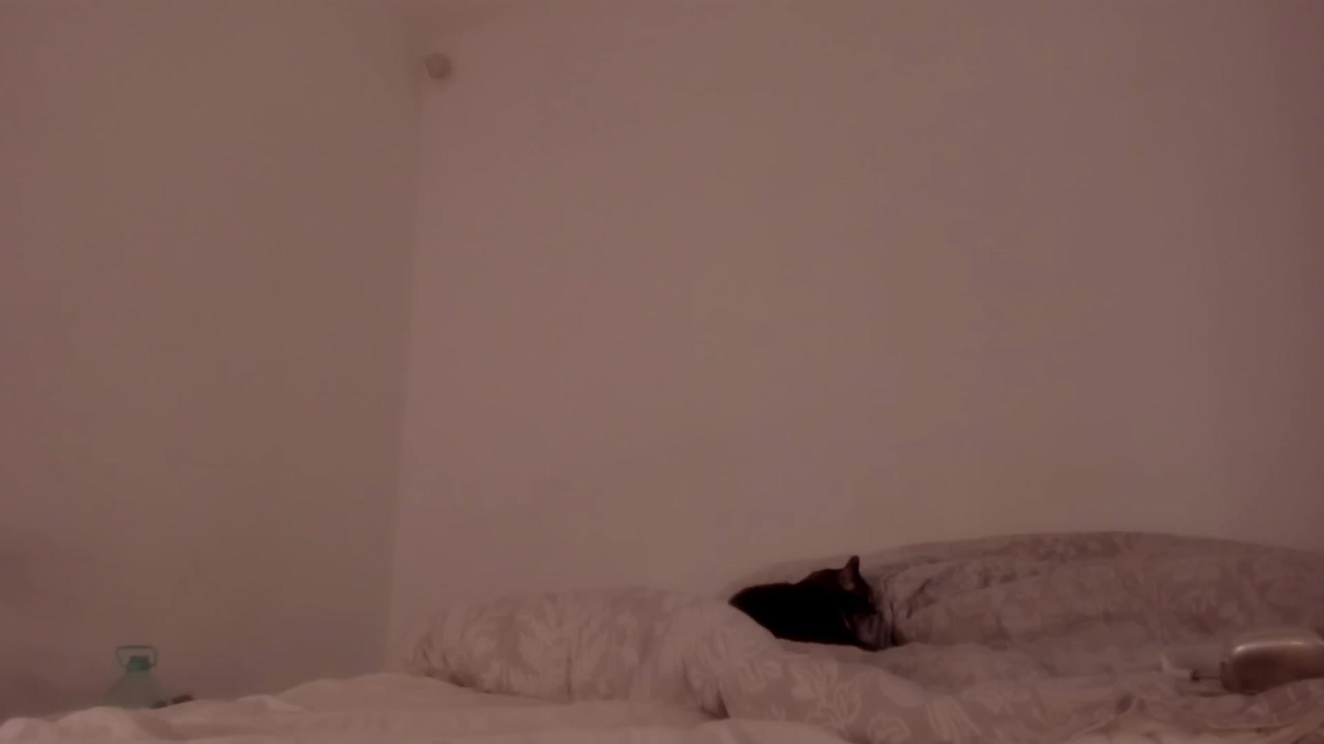 Gallery image thumbnail from Caroline_Bell's myfreecams stream on, 09/15/2025, 13:41 image 19 of 20