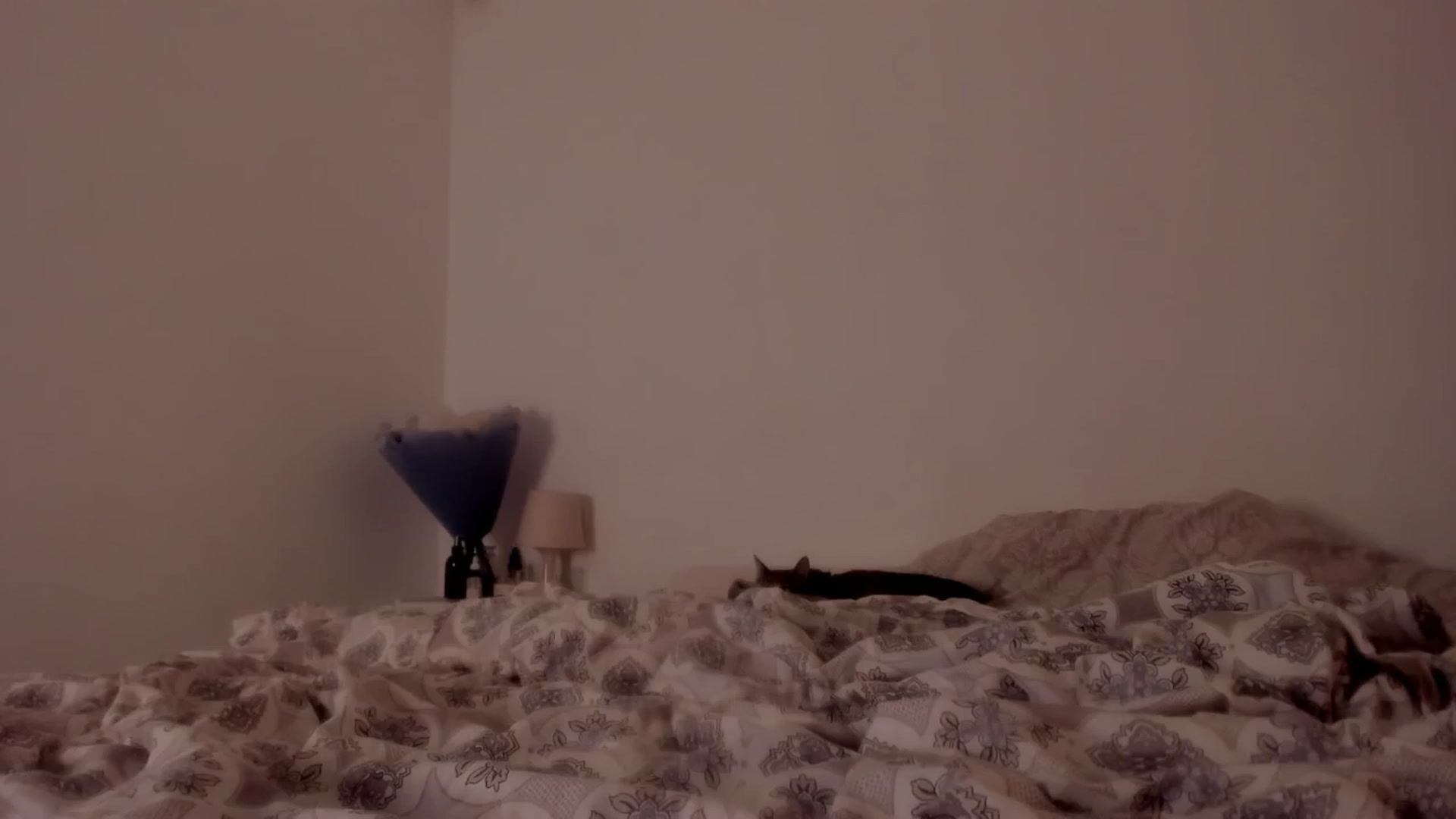 Gallery image thumbnail from Caroline_Bell's myfreecams stream on, 11/17/2025, 13:28 image 18 of 20