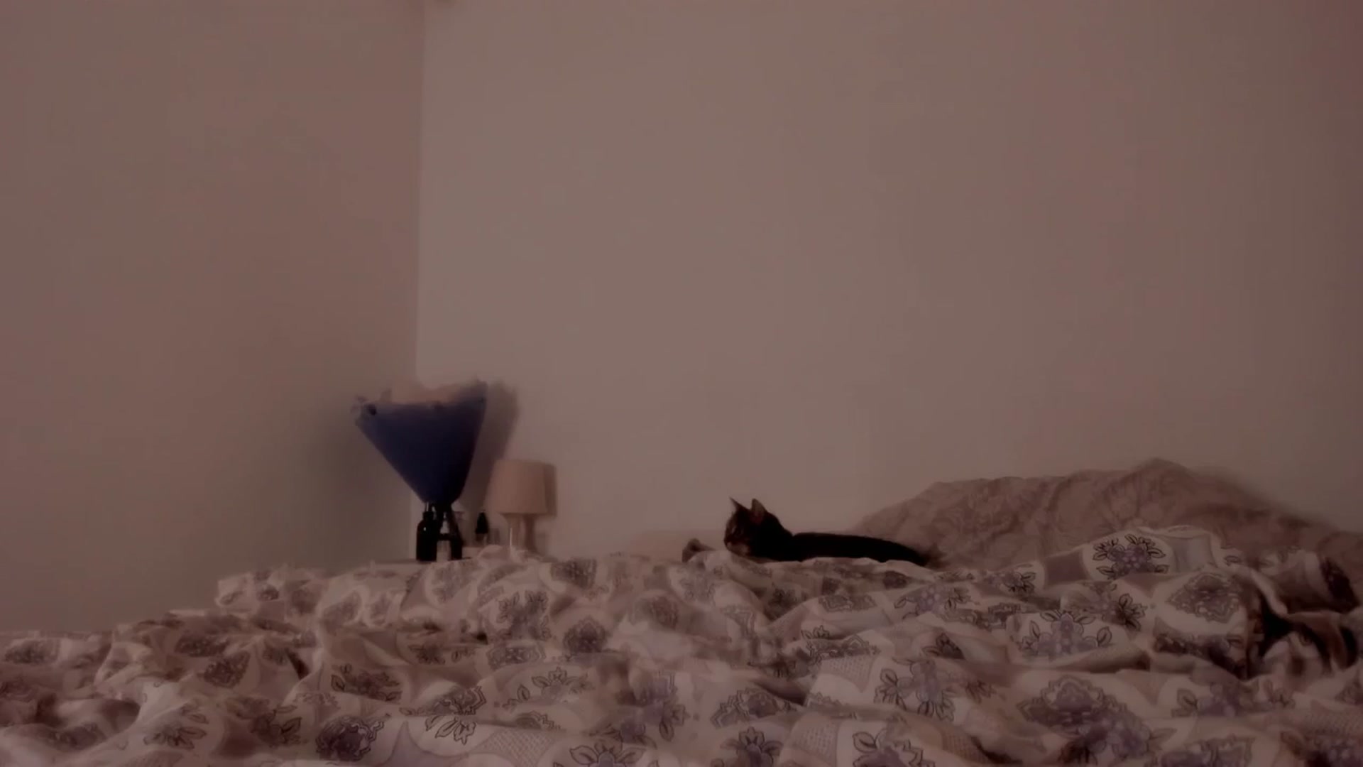 Gallery image thumbnail from Caroline_Bell's myfreecams stream on, 11/17/2025, 13:28 image 15 of 20