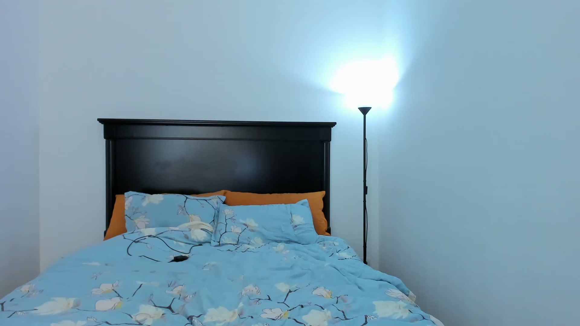 Gallery image thumbnail from Carollyne_'s myfreecams stream on, 03/13/2023, 17:25 image 18 of 20