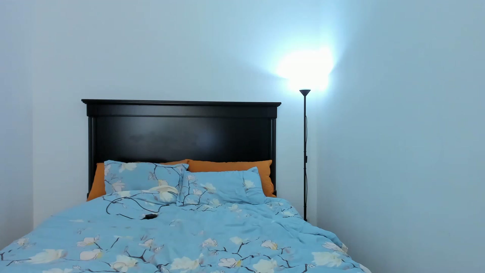 Gallery image thumbnail from Carollyne_'s myfreecams stream on, 03/13/2023, 17:25 image 17 of 20