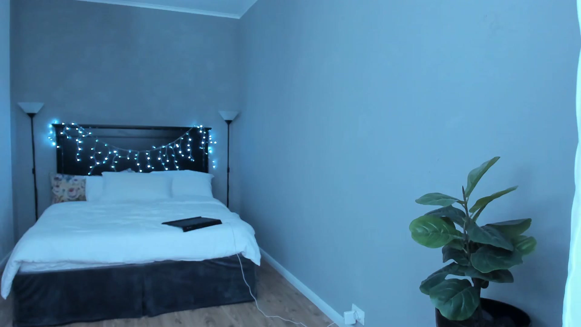 Gallery image thumbnail from Carollyne_'s myfreecams stream on, 12/11/2023, 13:42 image 18 of 20