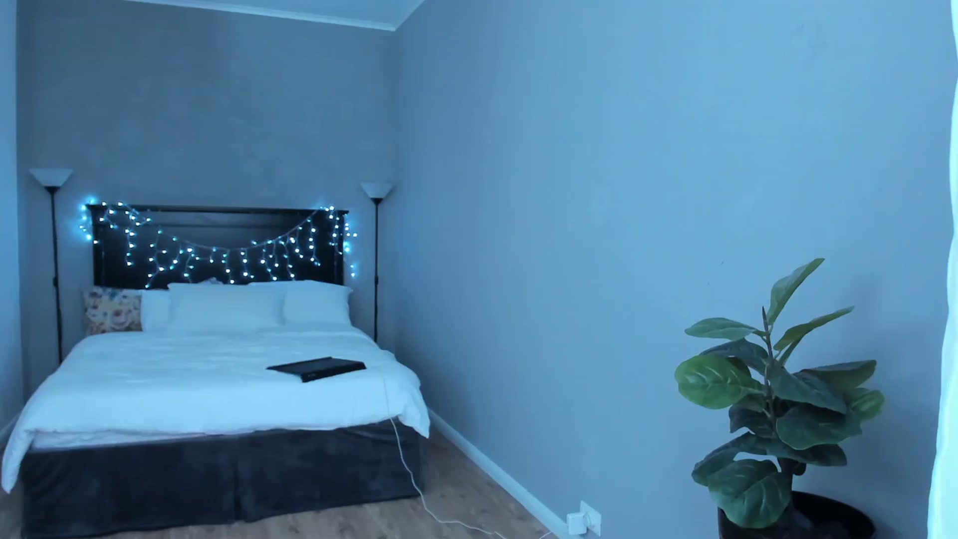 Gallery image thumbnail from Carollyne_'s myfreecams stream on, 12/11/2023, 13:42 image 16 of 20