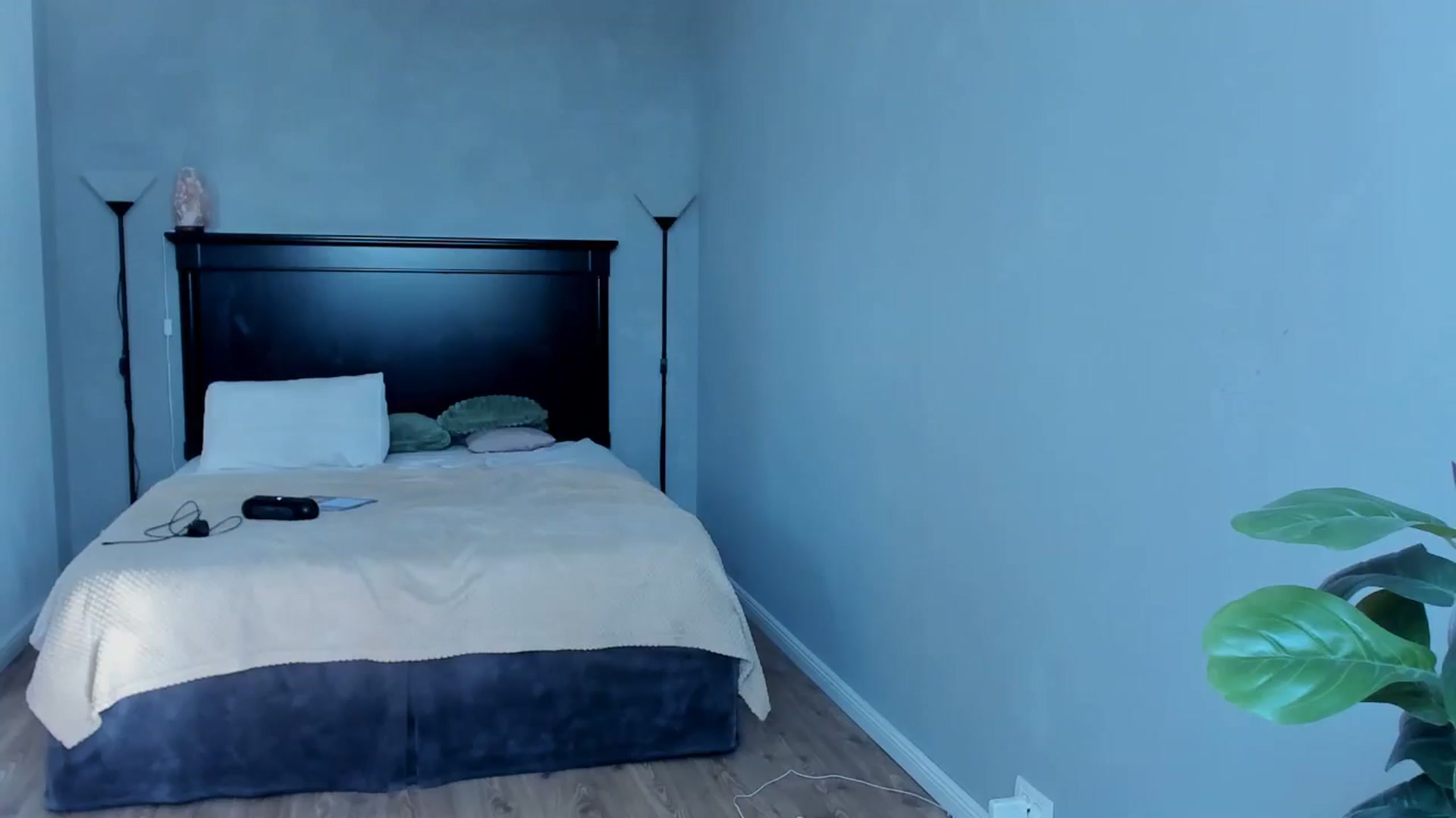 Gallery image thumbnail from Carollyne_'s myfreecams stream on, 09/25/2024, 13:53 image 1 of 20