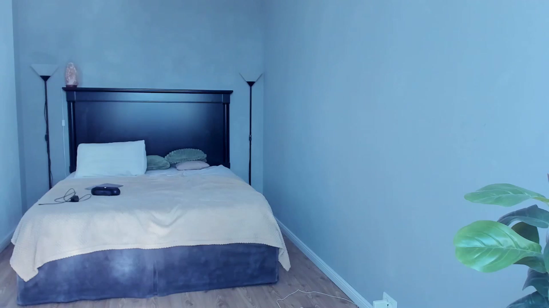 Gallery image thumbnail from Carollyne_'s myfreecams stream on, 09/25/2024, 13:53 image 3 of 20