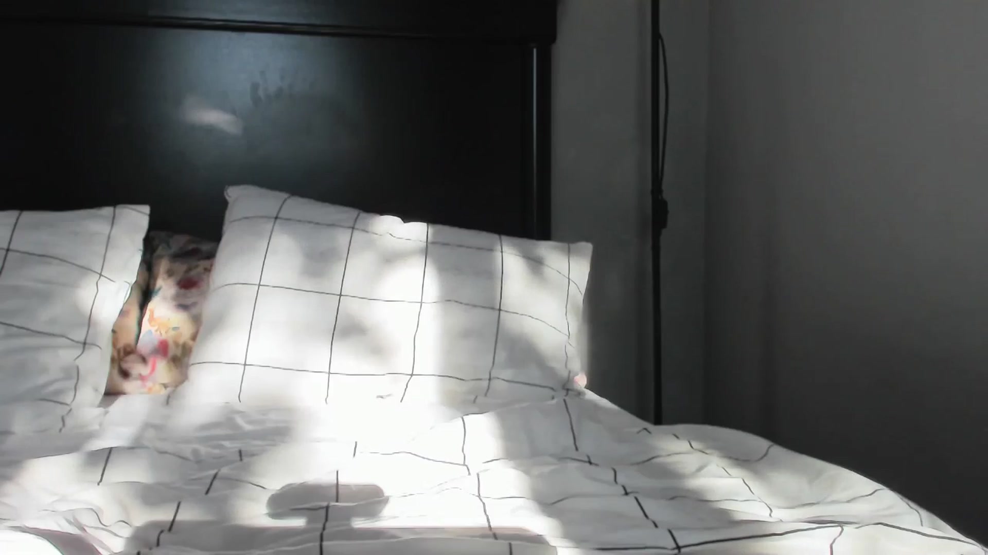 Gallery image thumbnail from Carollyne_'s myfreecams stream on, 10/19/2024, 14:03 image 9 of 20