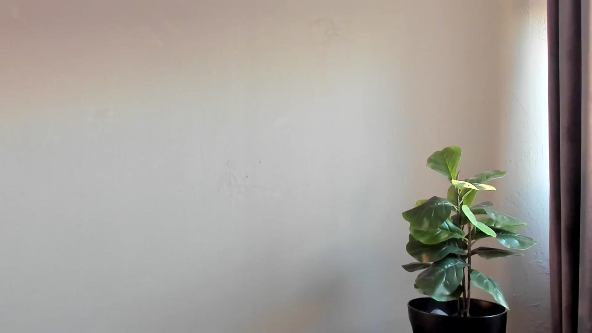 Gallery image thumbnail from Carollyne_'s myfreecams stream on, 11/26/2024, 15:59 image 5 of 20