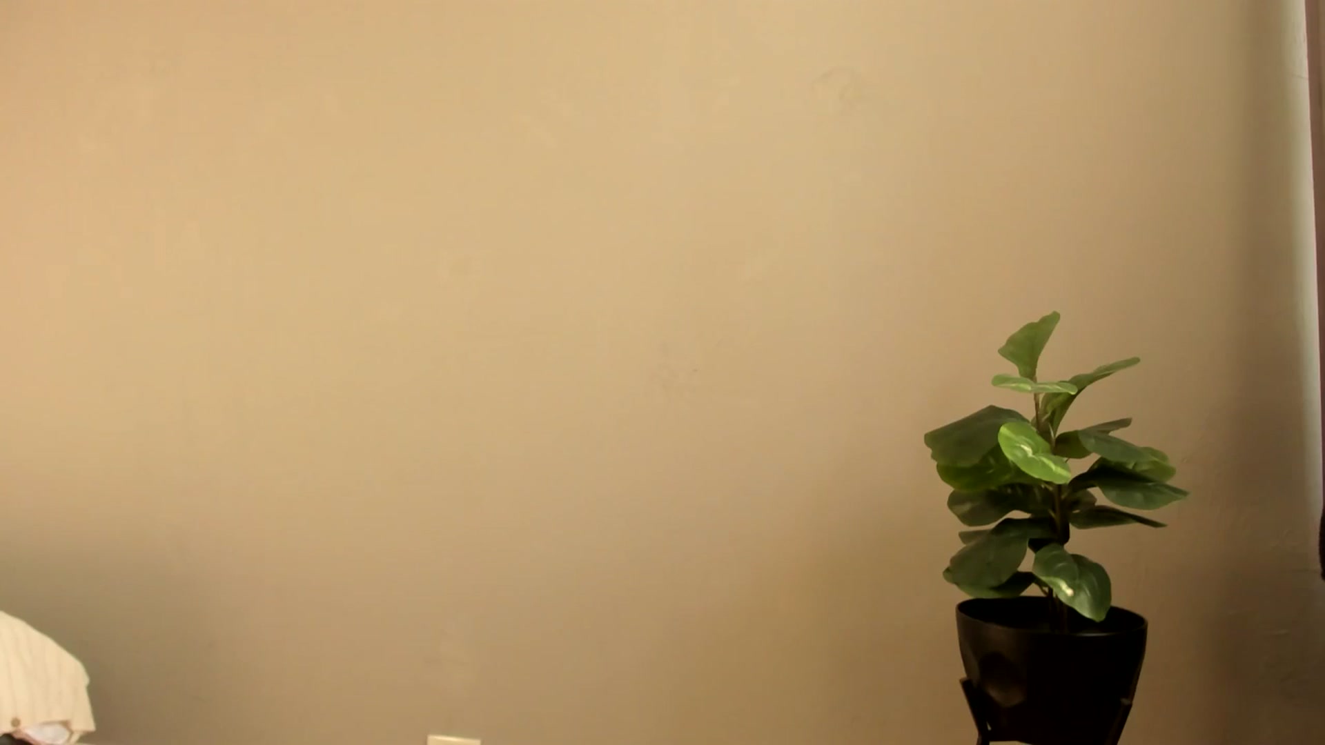 Gallery image thumbnail from Carollyne_'s myfreecams stream on, 02/19/2025, 13:55 image 19 of 20