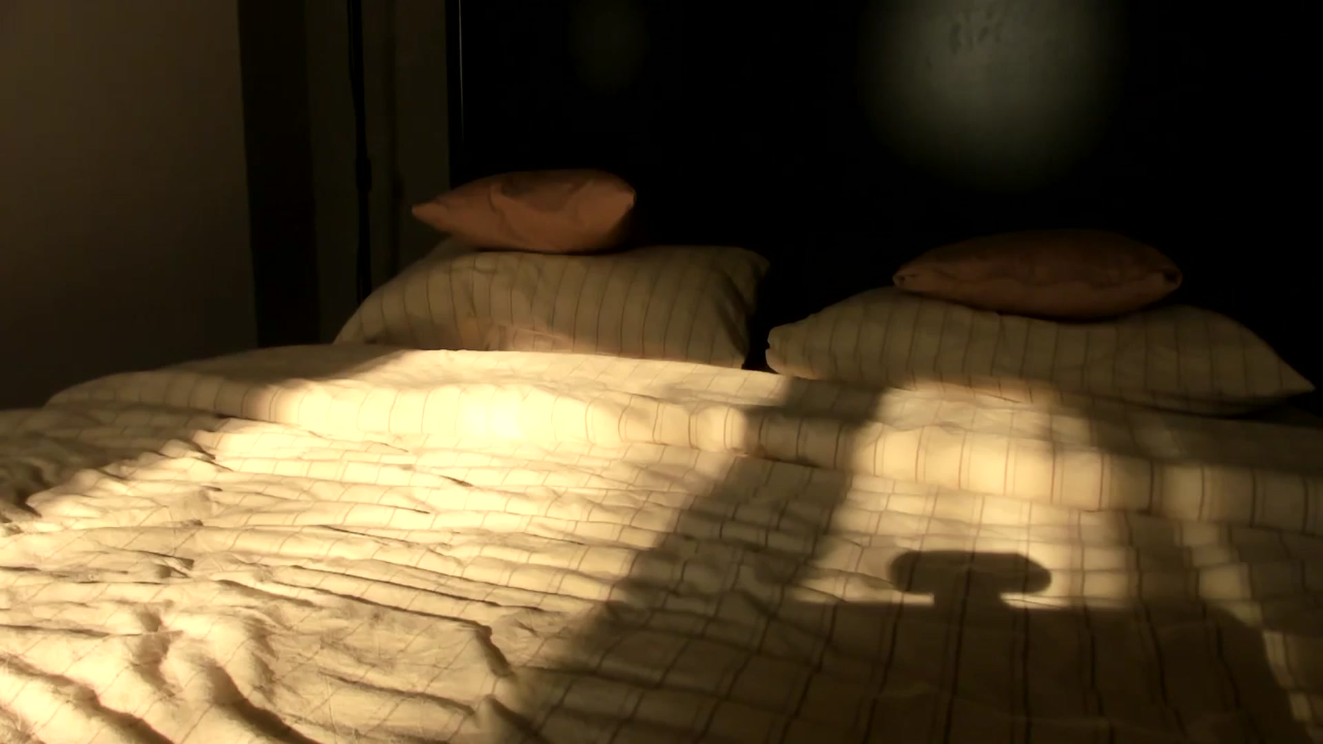 Gallery image thumbnail from Carollyne_'s myfreecams stream on, 02/21/2025, 13:59 image 16 of 20