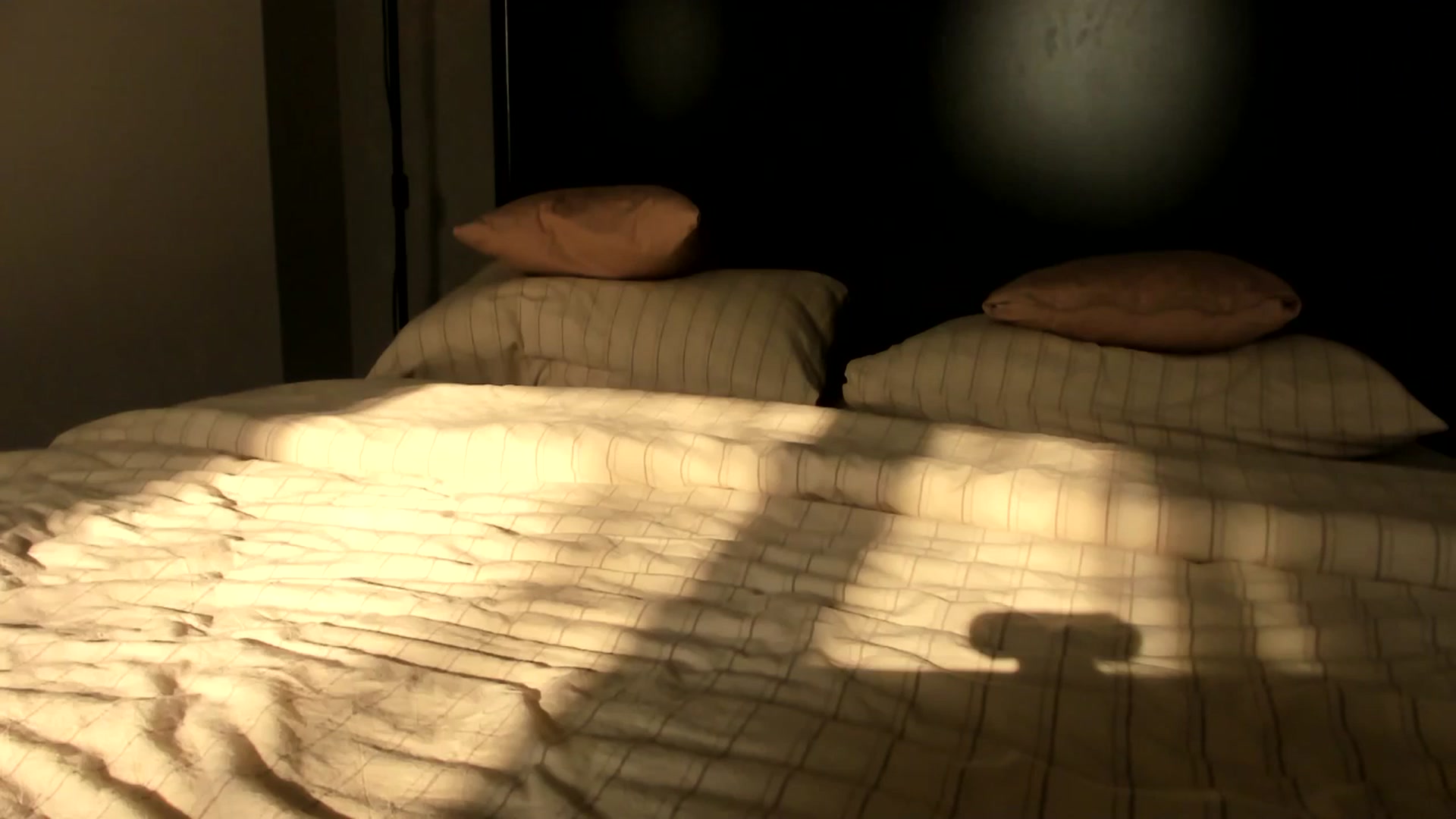 Gallery image thumbnail from Carollyne_'s myfreecams stream on, 02/21/2025, 13:59 image 15 of 20