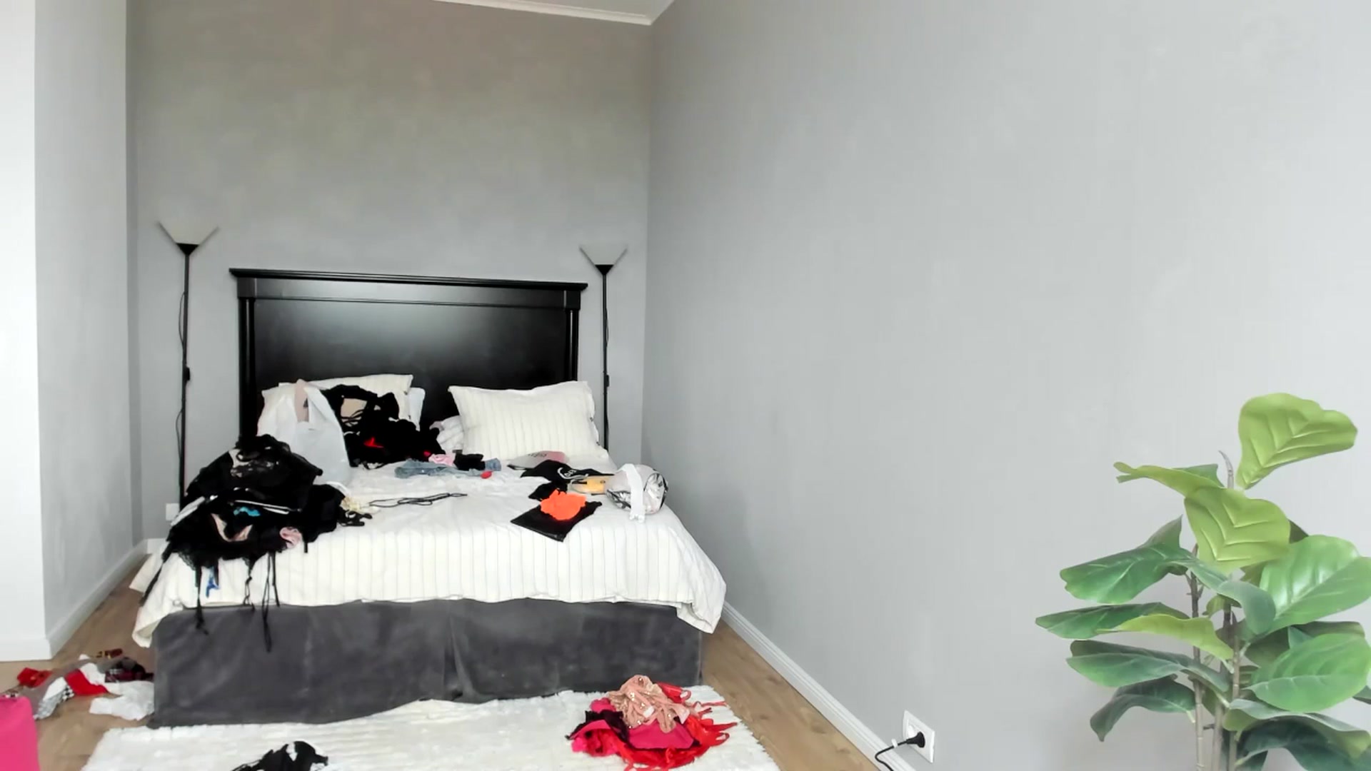 Gallery image thumbnail from Carollyne_'s myfreecams stream on, 05/30/2025, 08:41 image 14 of 20