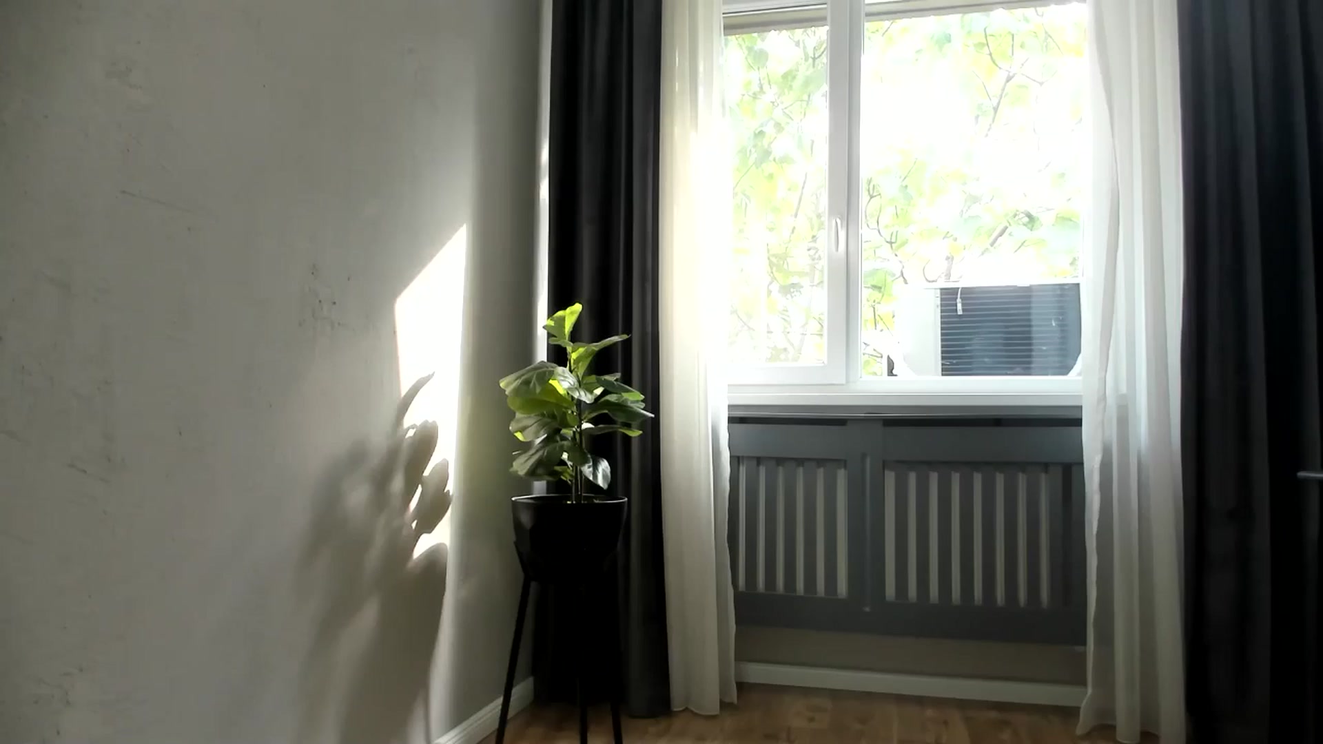 Gallery image thumbnail from Carollyne_'s myfreecams stream on, 06/10/2025, 15:49 image 7 of 20