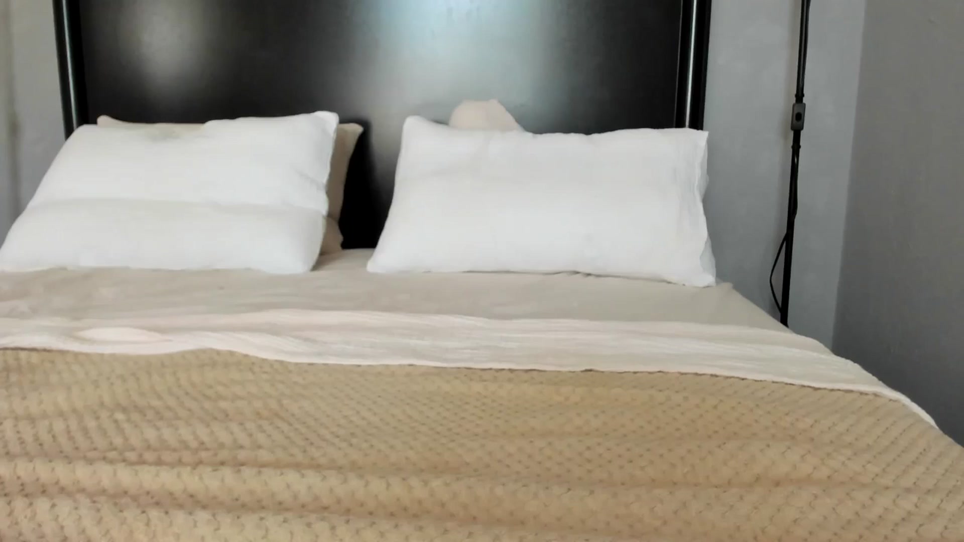 Gallery image thumbnail from Carollyne_'s myfreecams stream on, 08/20/2025, 11:42 image 17 of 20