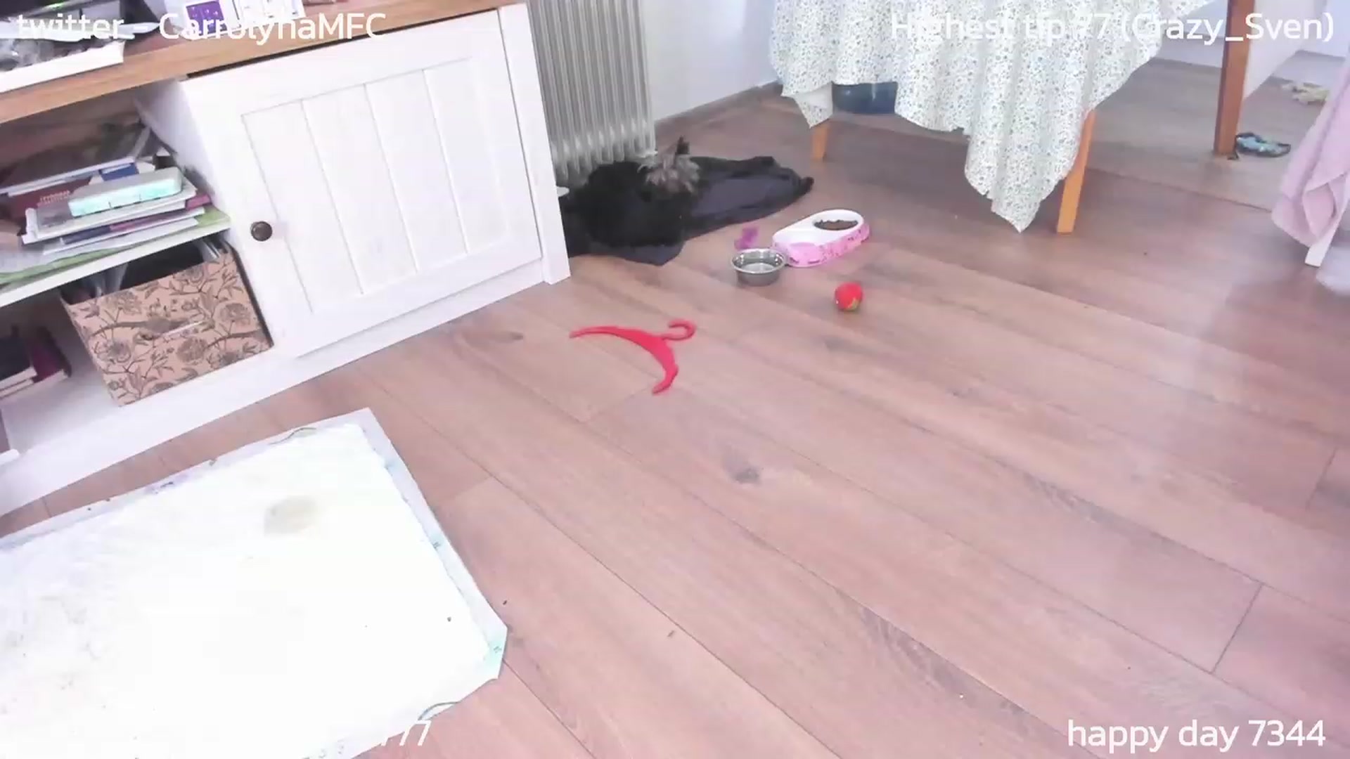 Gallery image thumbnail from Carrolyna's myfreecams stream on, 11/21/2023, 23:16 image 15 of 20