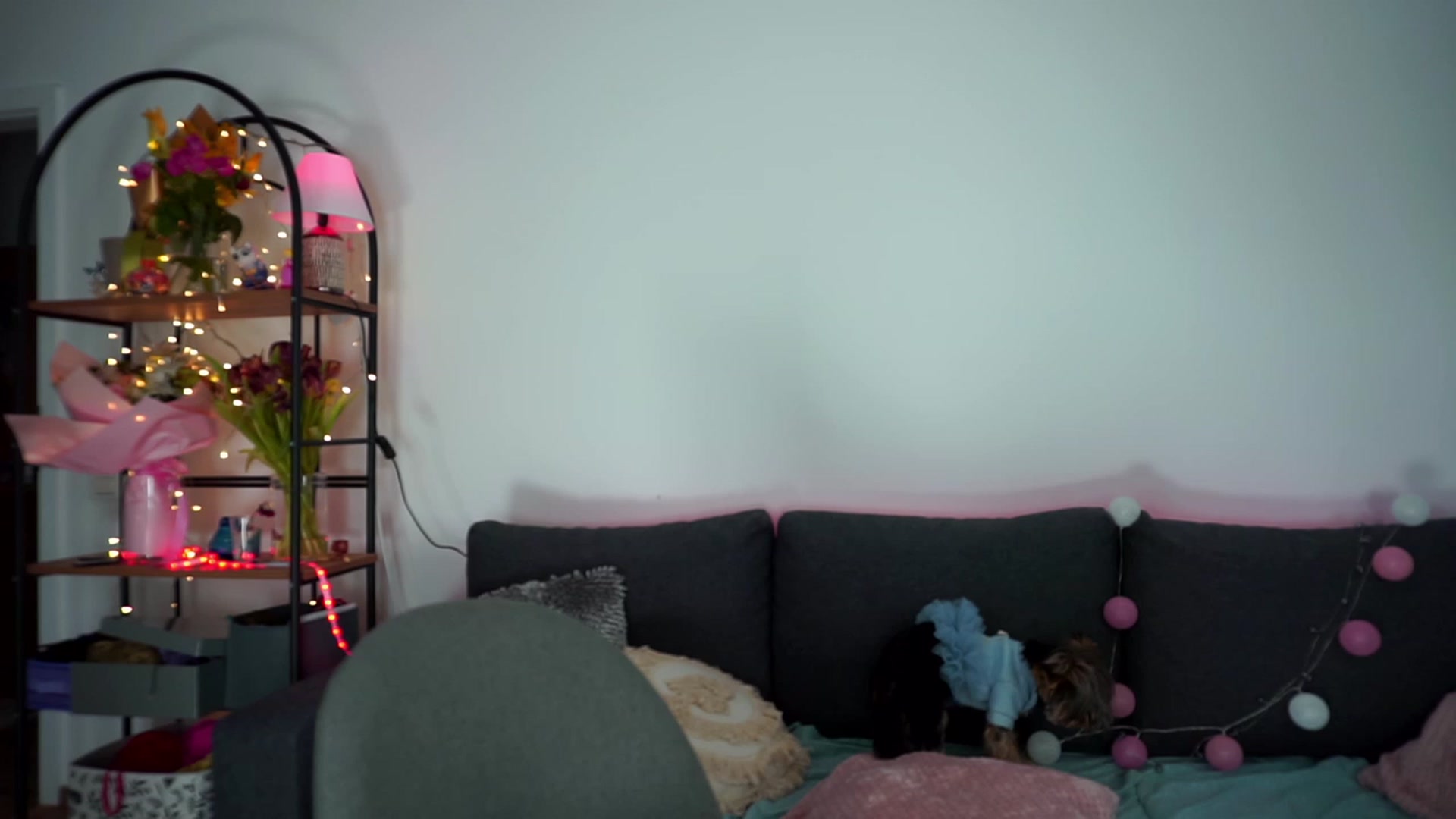 Gallery image thumbnail from Carrolyna's myfreecams stream on, 03/09/2024, 22:18 image 2 of 20
