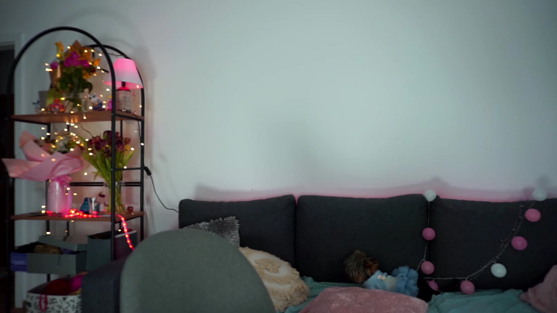 Gallery image thumbnail from Carrolyna's myfreecams stream on, 03/09/2024, 22:18 image 1 of 20