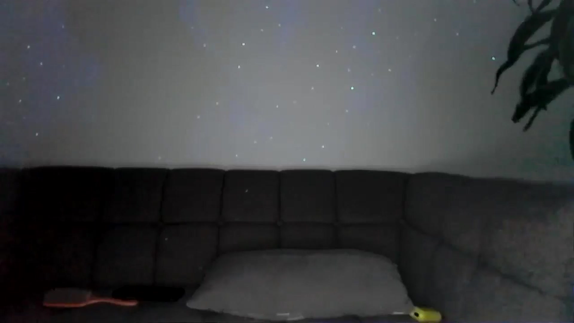 Gallery image thumbnail from CashleyBanks's myfreecams stream on, 07/09/2025, 03:14 image 11 of 20