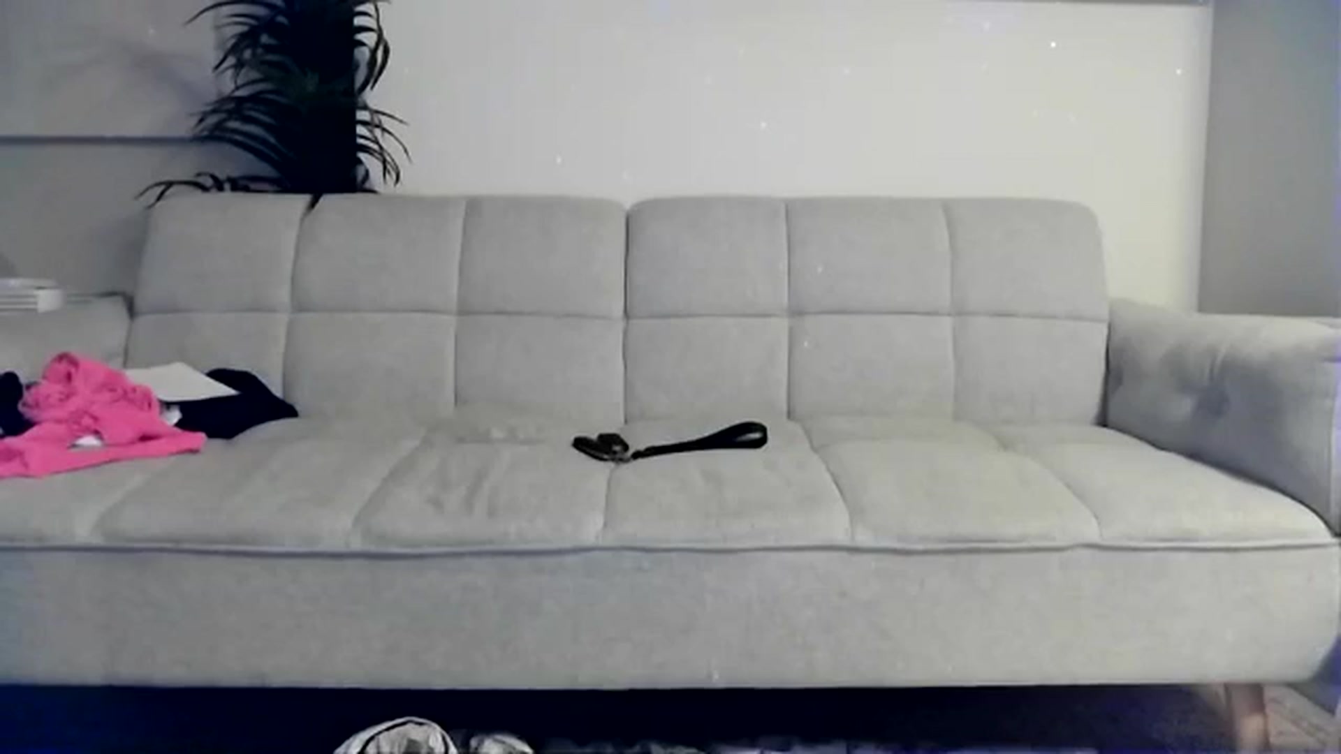 Gallery image thumbnail from CashleyBanks's myfreecams stream on, 09/14/2025, 04:21 image 2 of 20