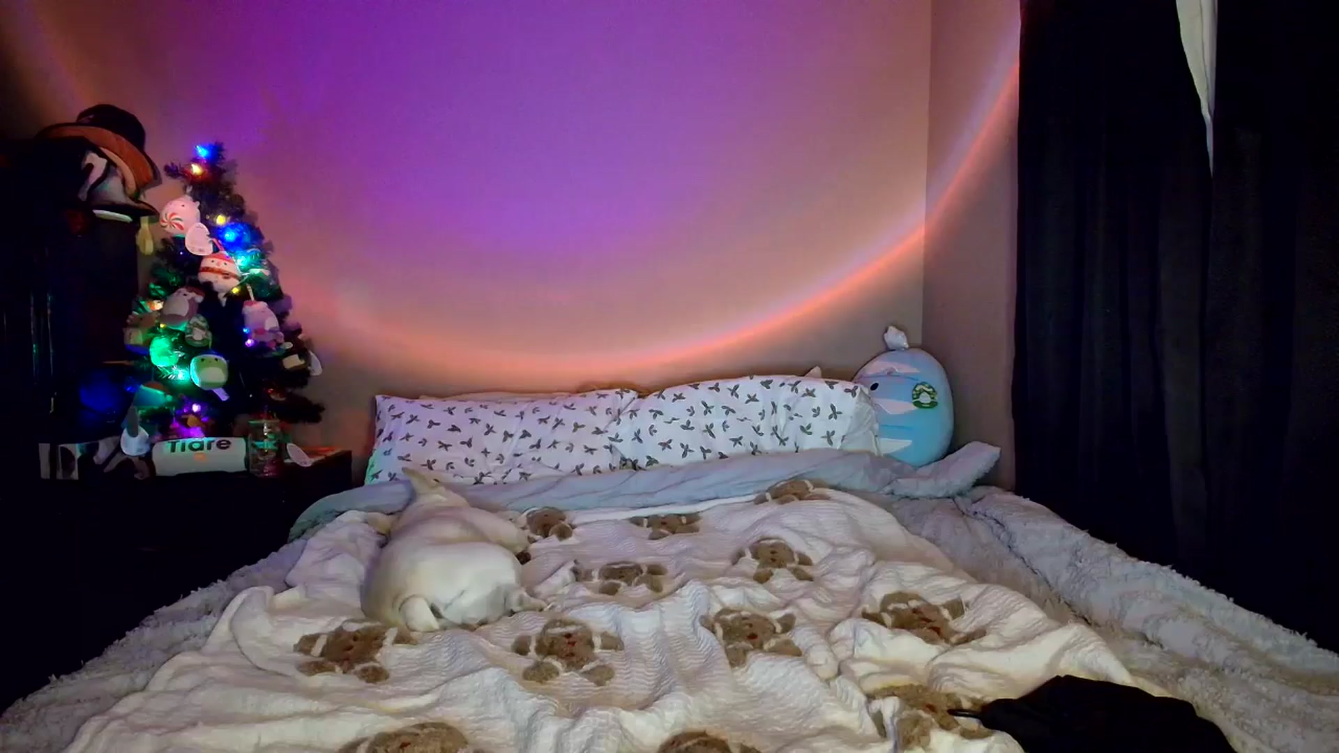 Gallery image thumbnail from CashleyBanks's myfreecams stream on, 11/24/2025, 20:18 image 10 of 20