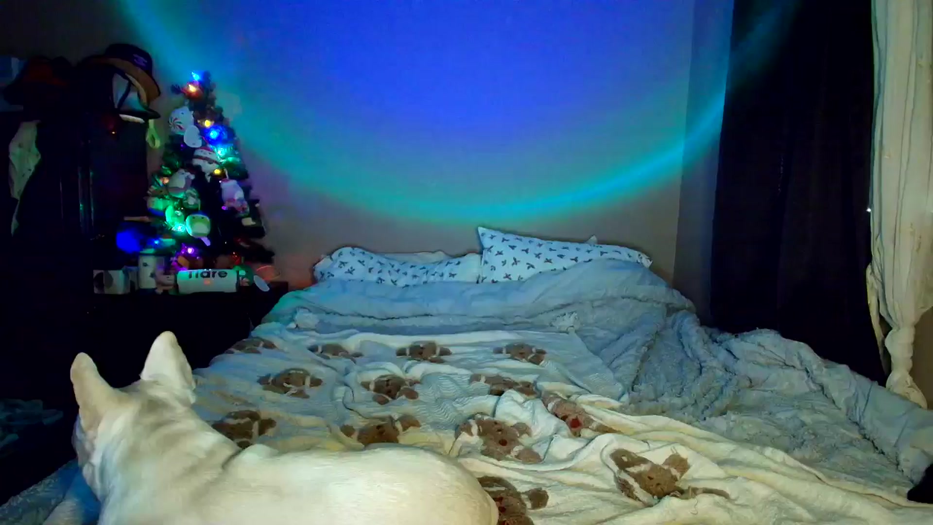 Gallery image thumbnail from CashleyBanks's myfreecams stream on, 12/01/2025, 20:23 image 2 of 20