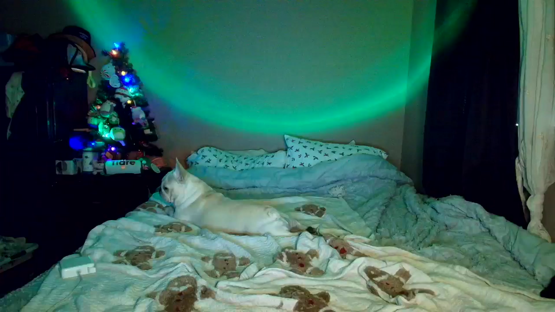 Gallery image thumbnail from CashleyBanks's myfreecams stream on, 12/01/2025, 20:23 image 1 of 20