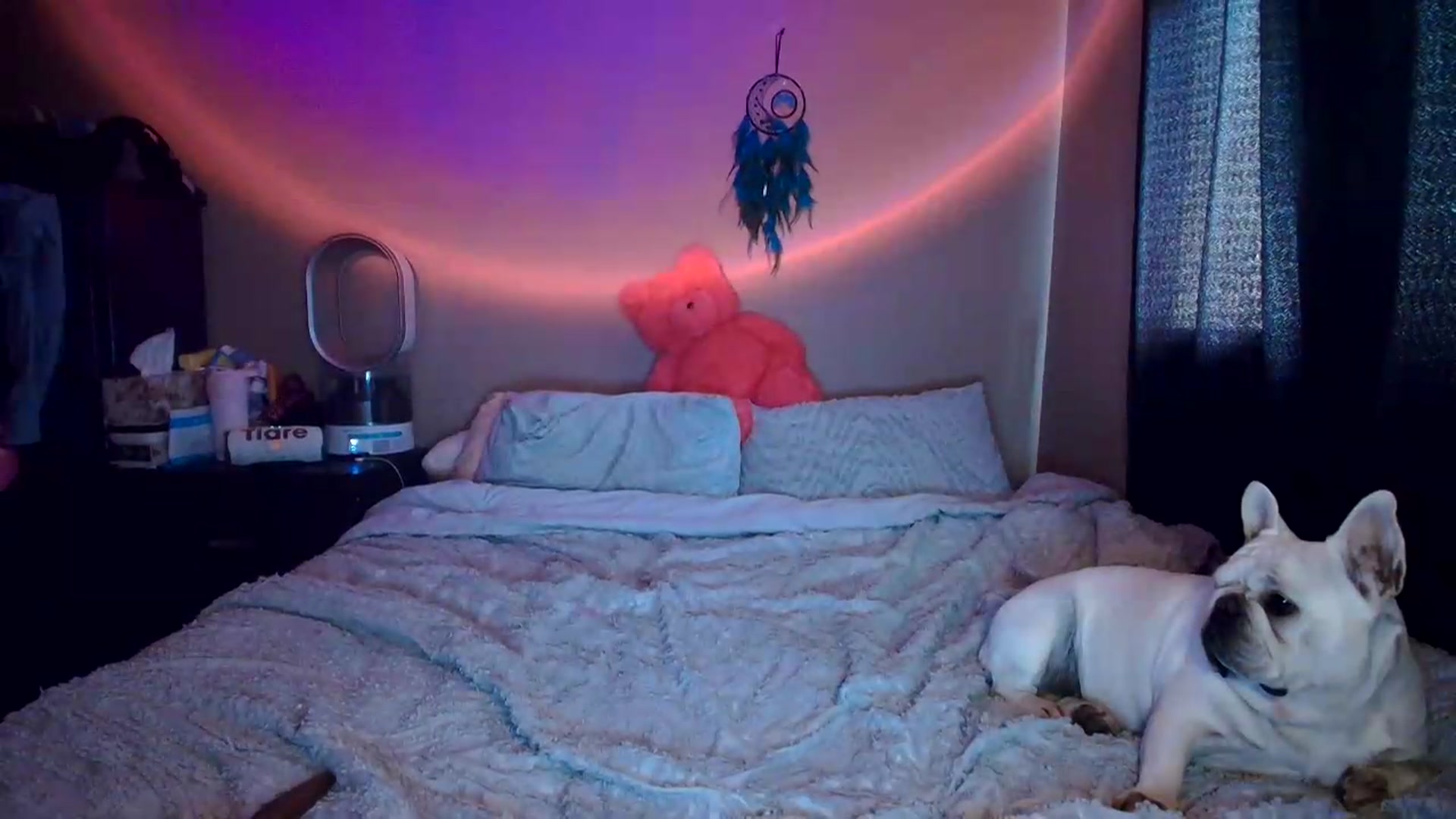 Gallery image thumbnail from CashleyBanks's myfreecams stream on, 09/03/2026, 20:48 image 9 of 20