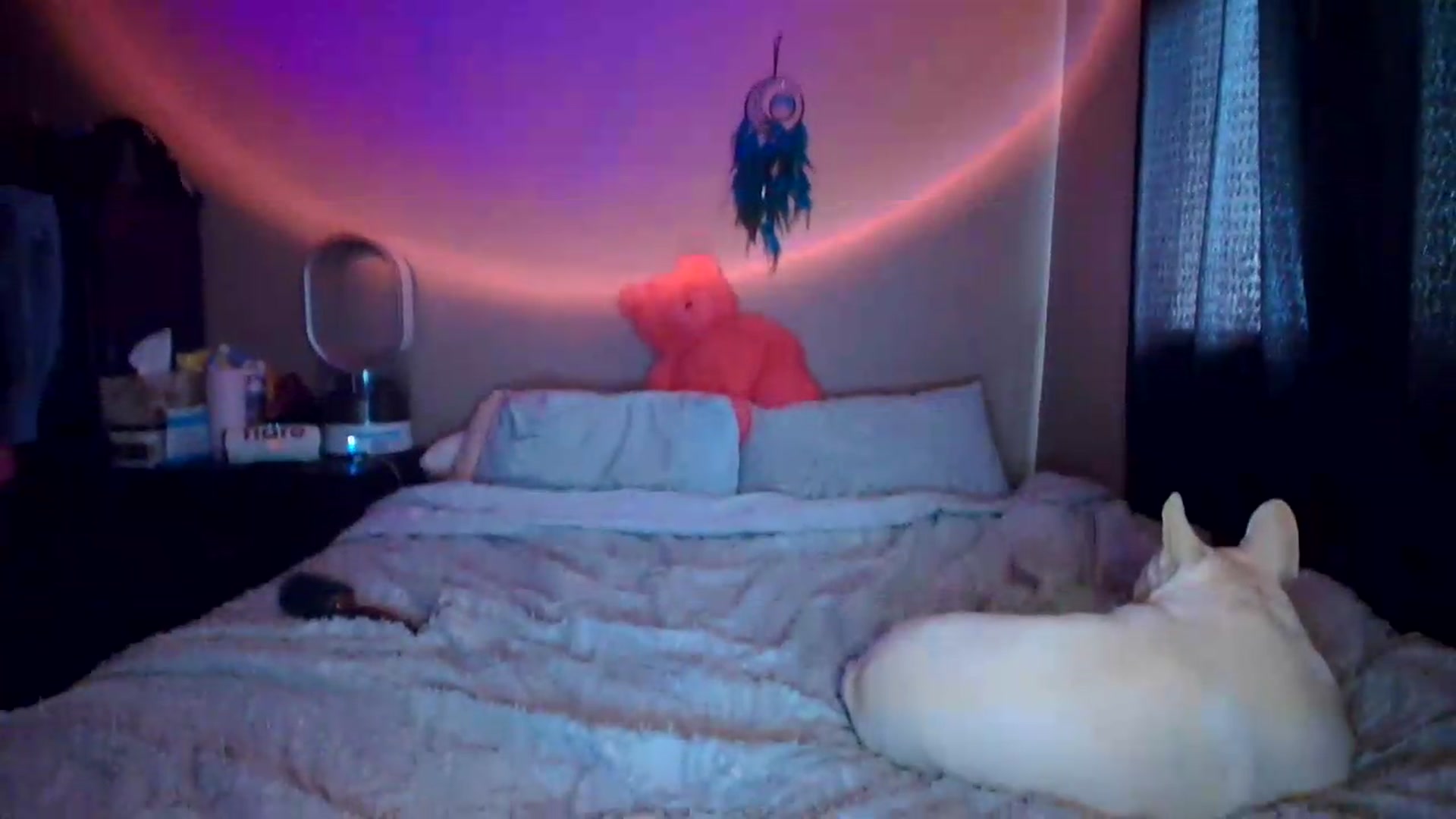 Gallery image thumbnail from CashleyBanks's myfreecams stream on, 09/03/2026, 20:48 image 12 of 20