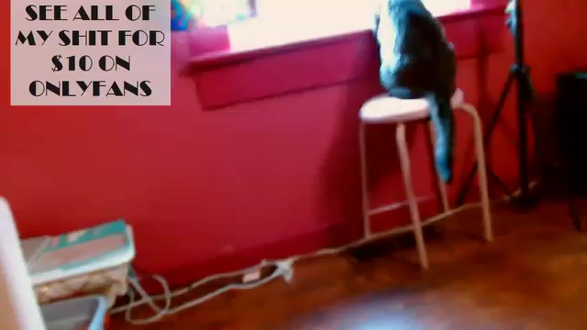 Gallery image thumbnail from CashmereFoxxx's myfreecams stream on, 01/17/2023, 17:46 image 2 of 20