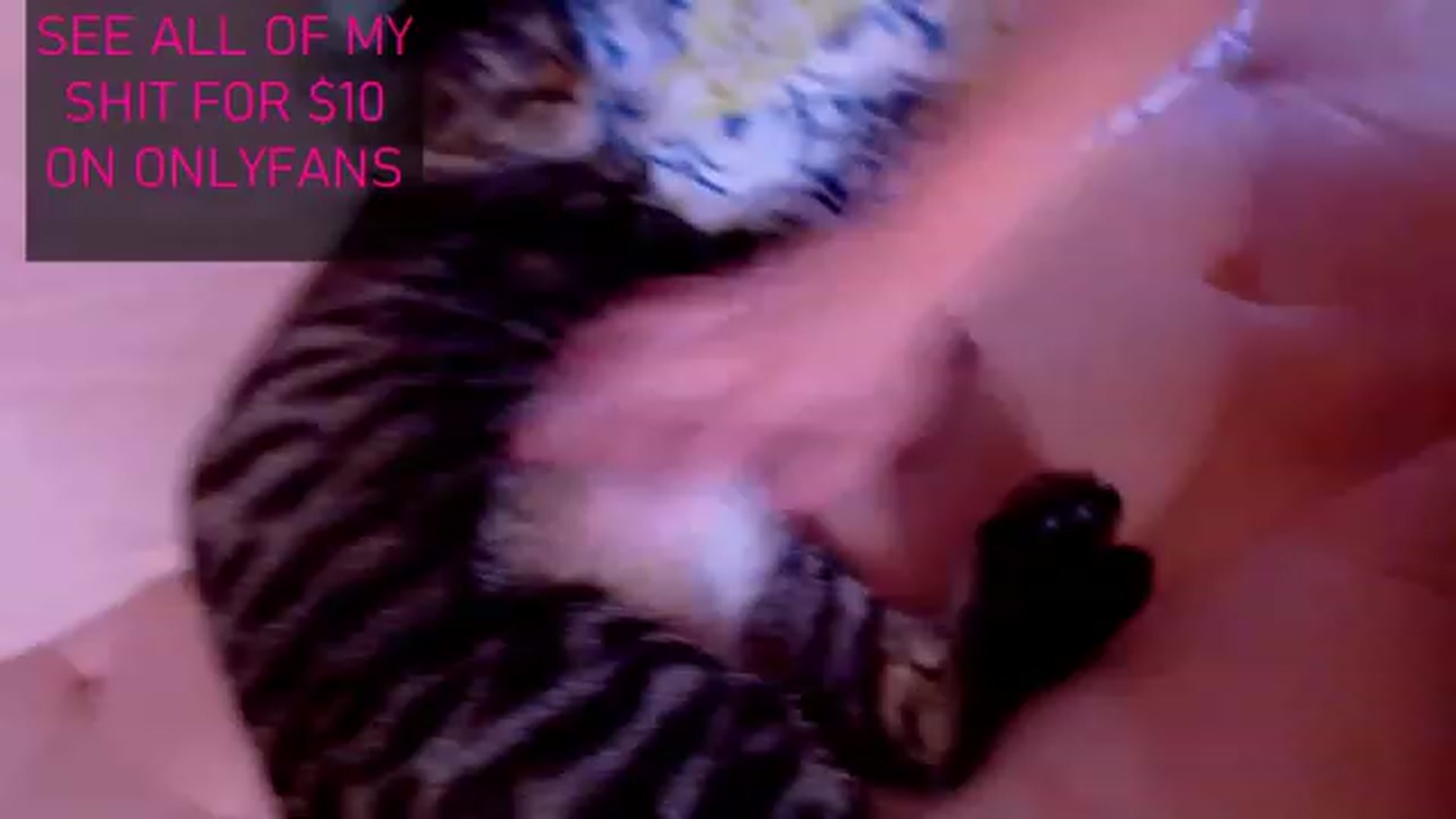 Gallery image thumbnail from CashmereFoxxx's myfreecams stream on, 01/18/2023, 20:00 image 13 of 20