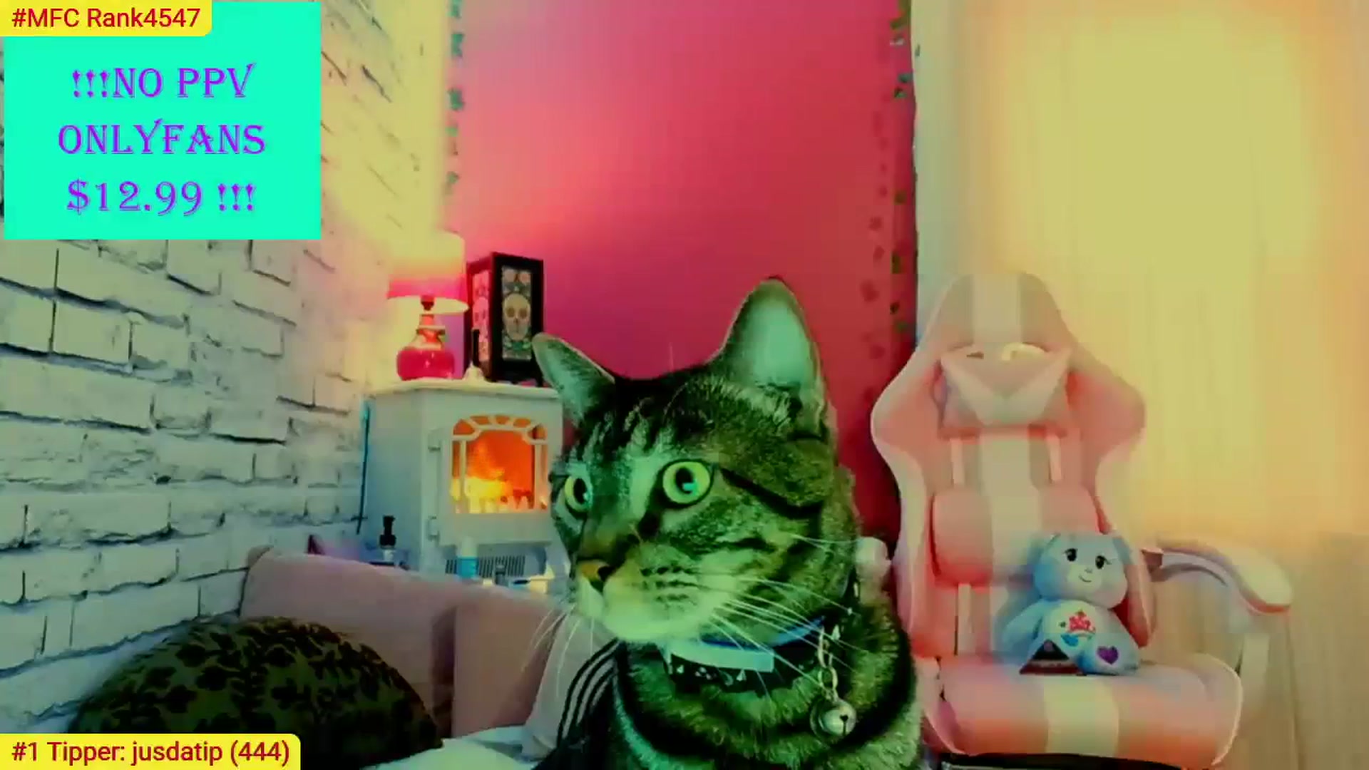 Gallery image thumbnail from CashmereFoxxx's myfreecams stream on, 08/07/2023, 18:19 image 15 of 20