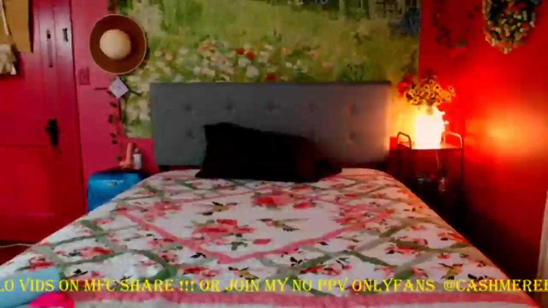Gallery image thumbnail from CashmereFoxxx's myfreecams stream on, 05/23/2024, 15:13 image 2 of 20