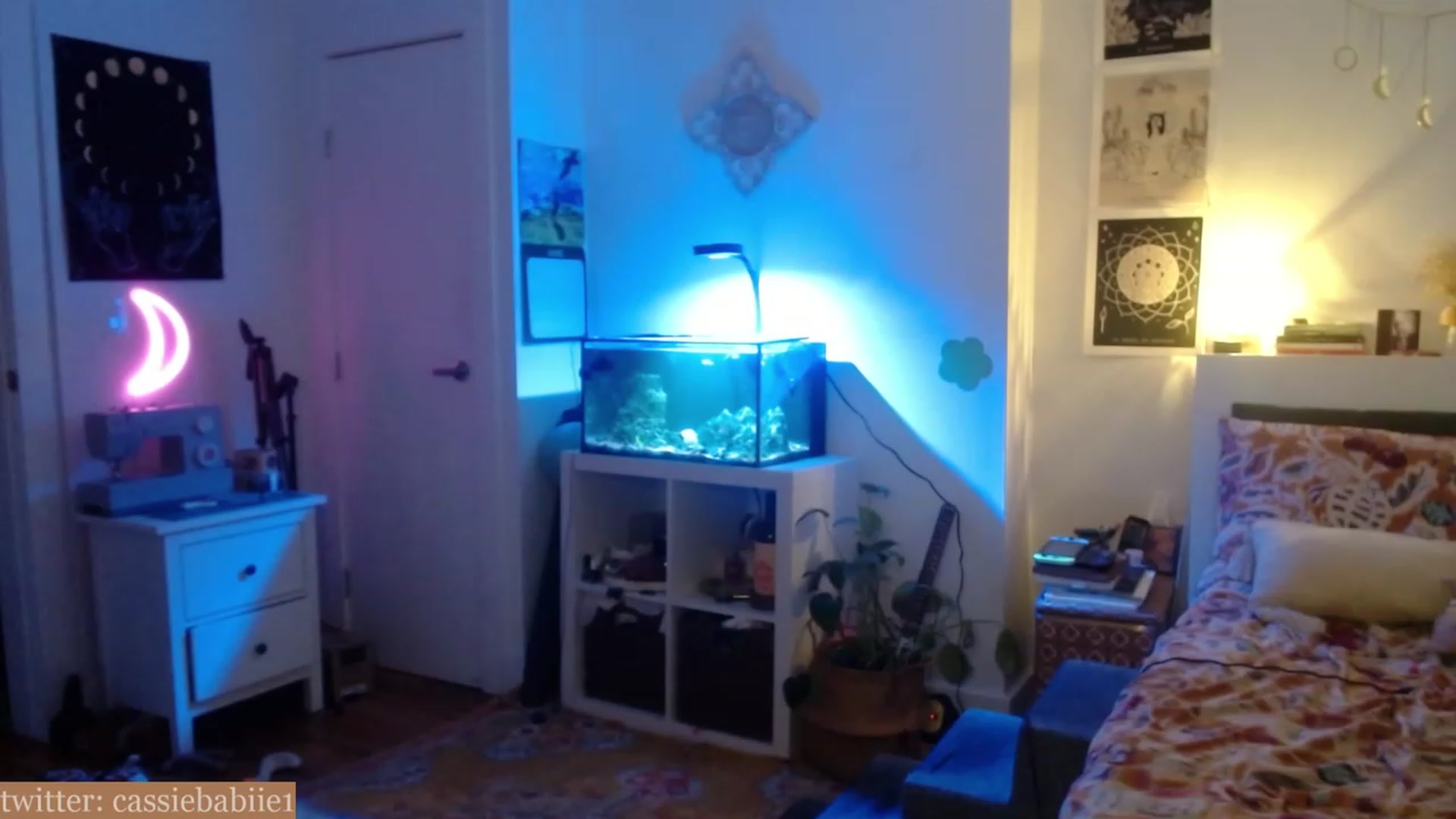 Gallery image thumbnail from CassieBabiie's myfreecams stream on, 06/10/2023, 24:23 image 19 of 20