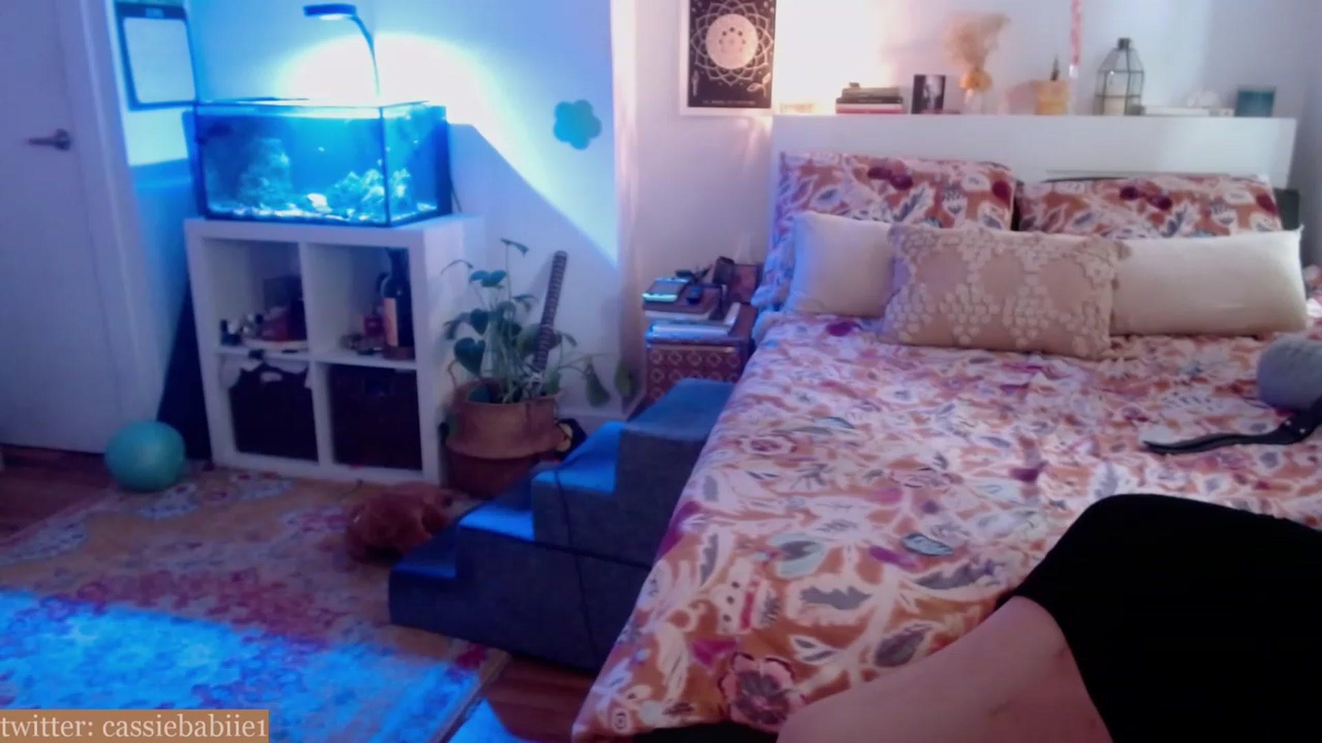 Gallery image thumbnail from CassieBabiie's myfreecams stream on, 06/11/2023, 21:36 image 11 of 20