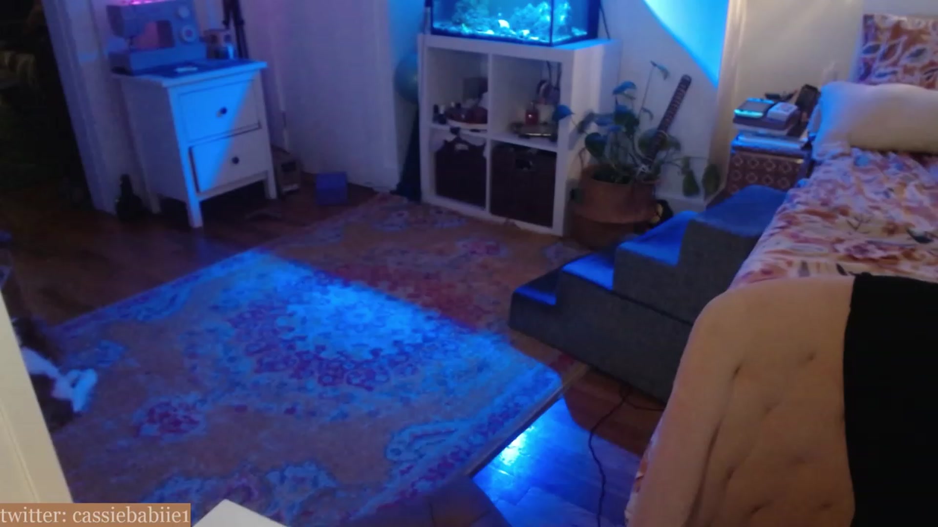 Gallery image thumbnail from CassieBabiie's myfreecams stream on, 06/15/2023, 01:59 image 15 of 20