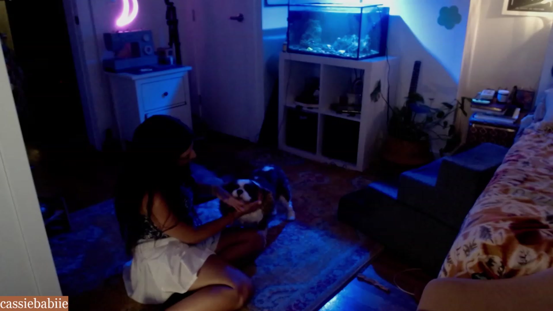 Gallery image thumbnail from CassieBabiie's myfreecams stream on, 06/27/2023, 02:15 image 2 of 20