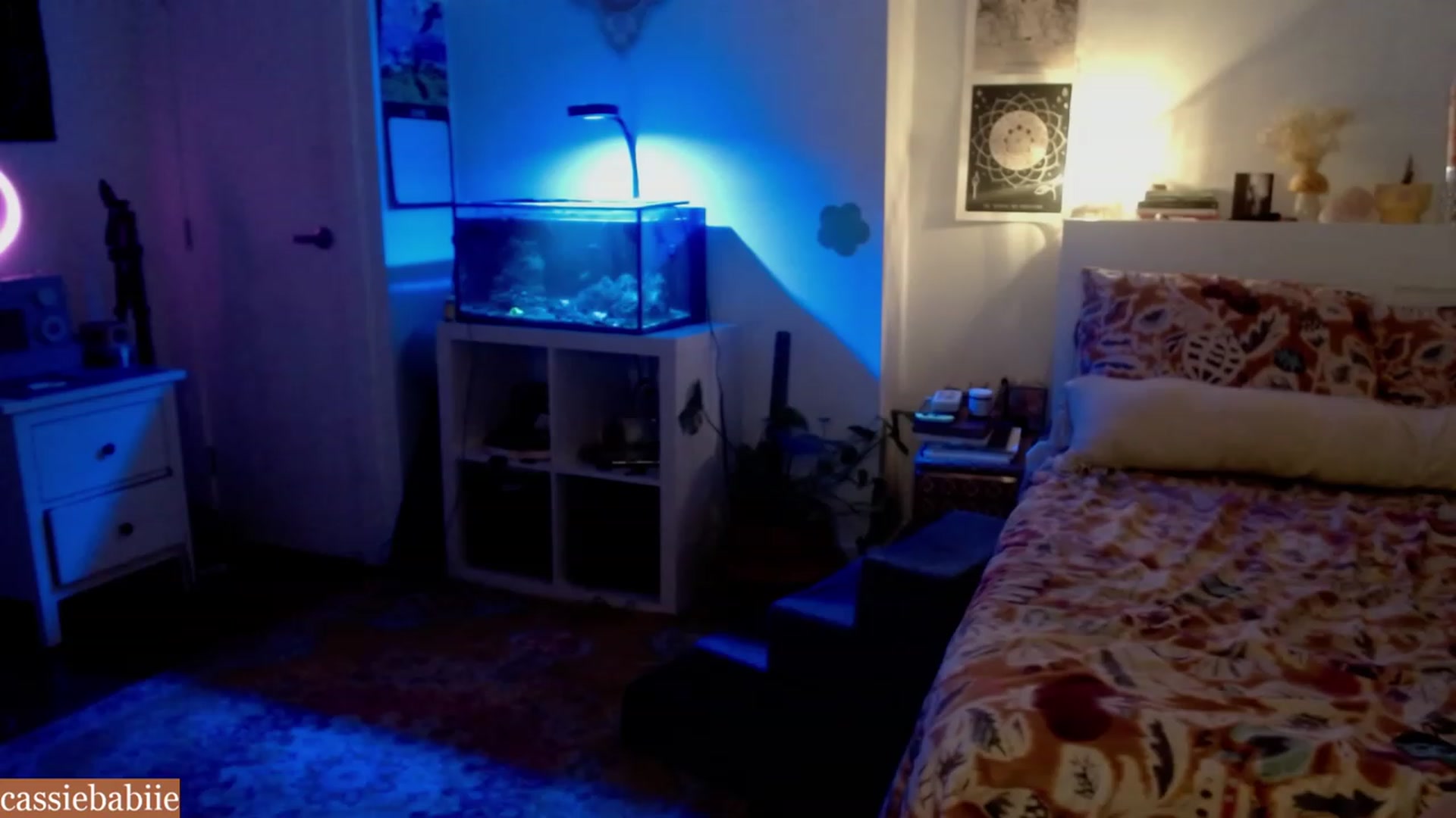 Gallery image thumbnail from CassieBabiie's myfreecams stream on, 06/27/2023, 02:15 image 15 of 20