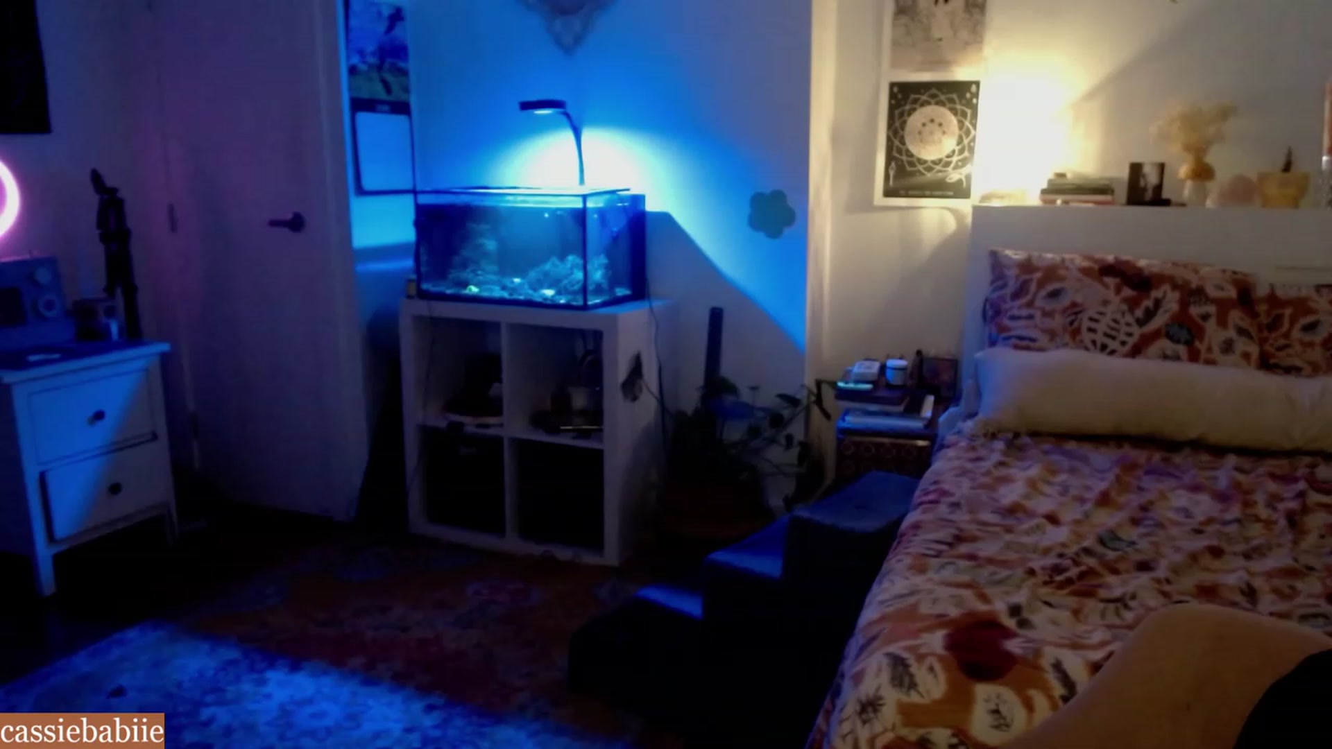 Gallery image thumbnail from CassieBabiie's myfreecams stream on, 06/27/2023, 02:15 image 9 of 20
