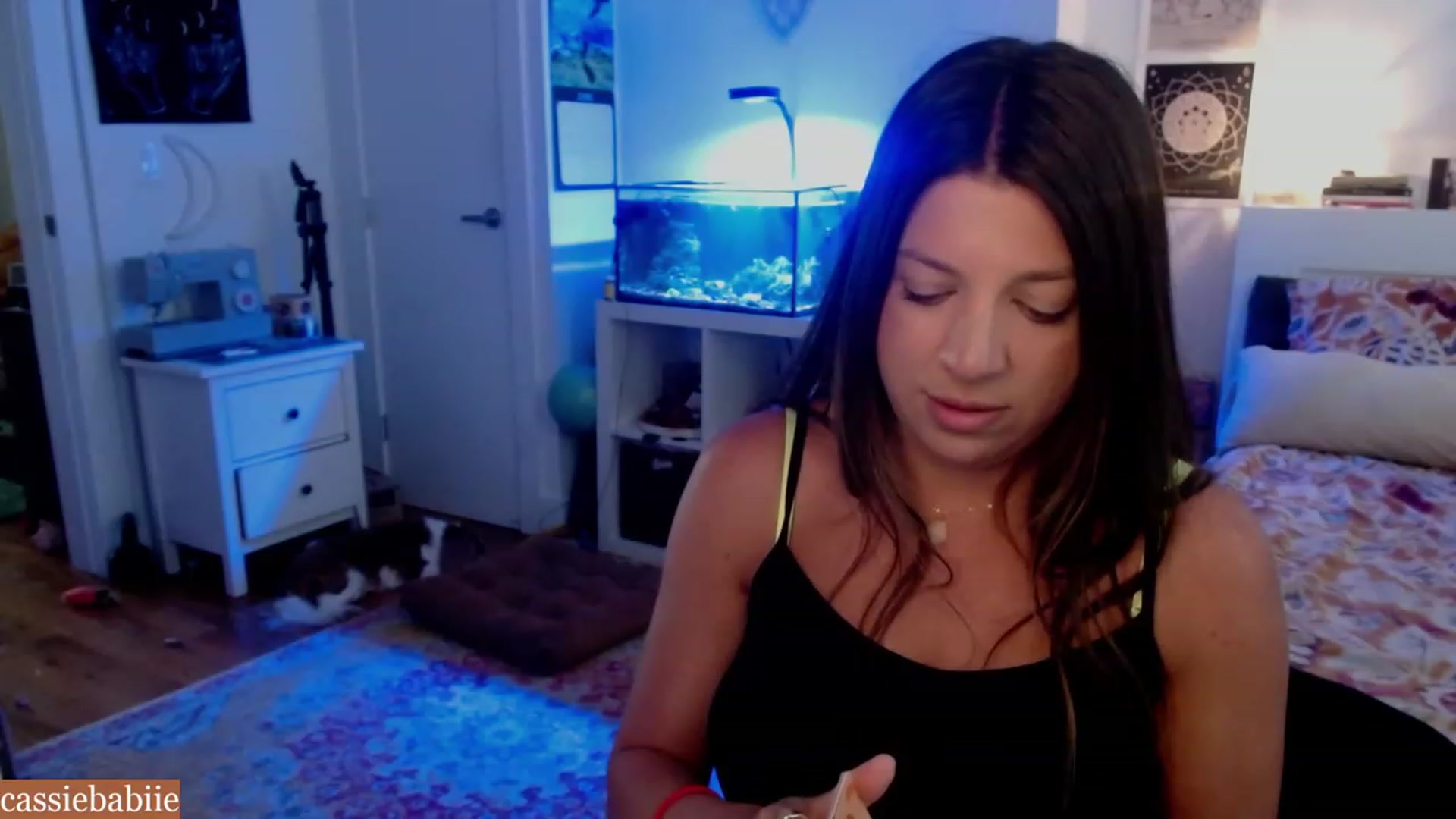 Gallery image thumbnail from CassieBabiie's myfreecams stream on, 06/27/2023, 20:58 image 5 of 20