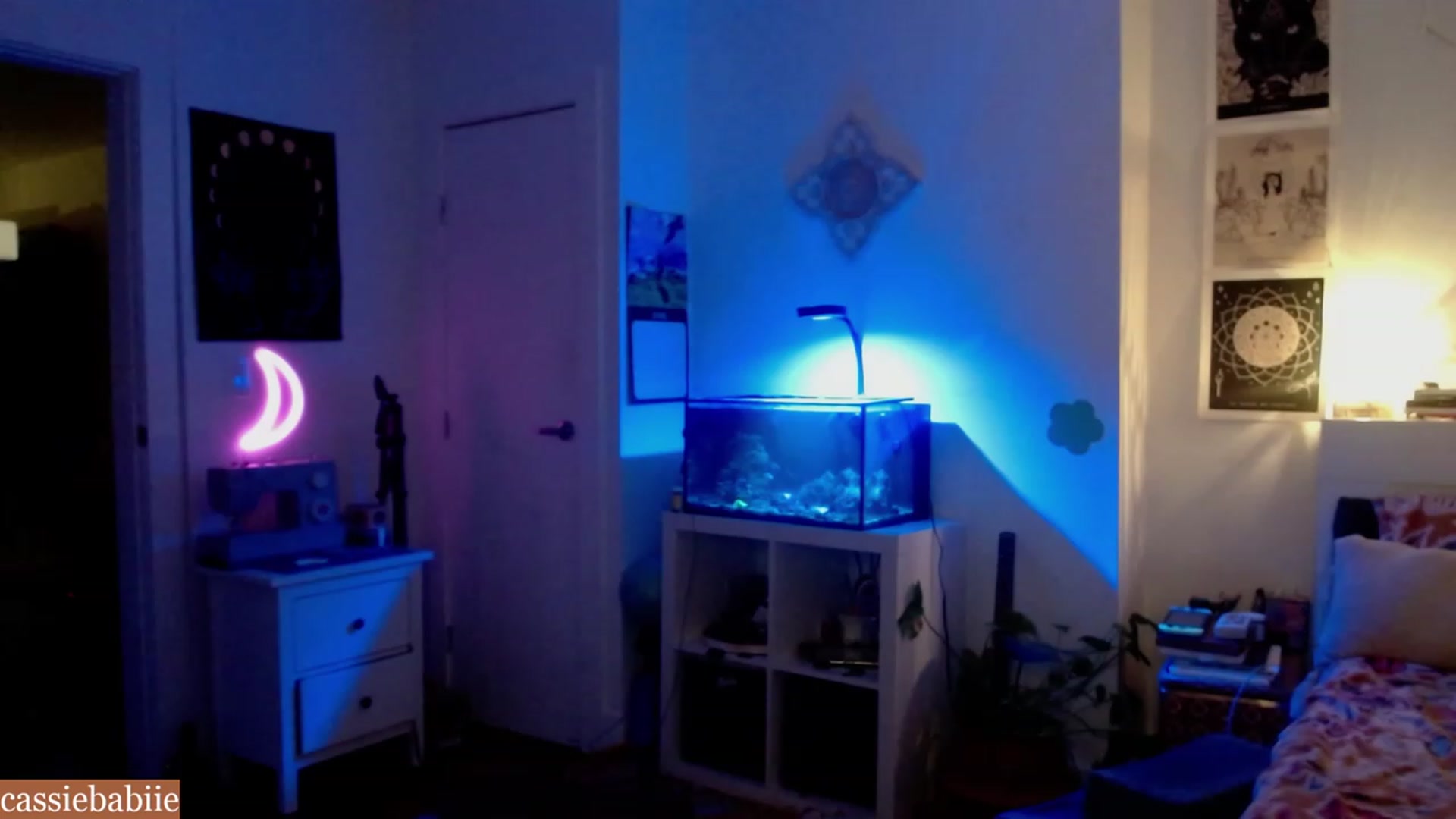 Gallery image thumbnail from CassieBabiie's myfreecams stream on, 06/28/2023, 03:24 image 5 of 20