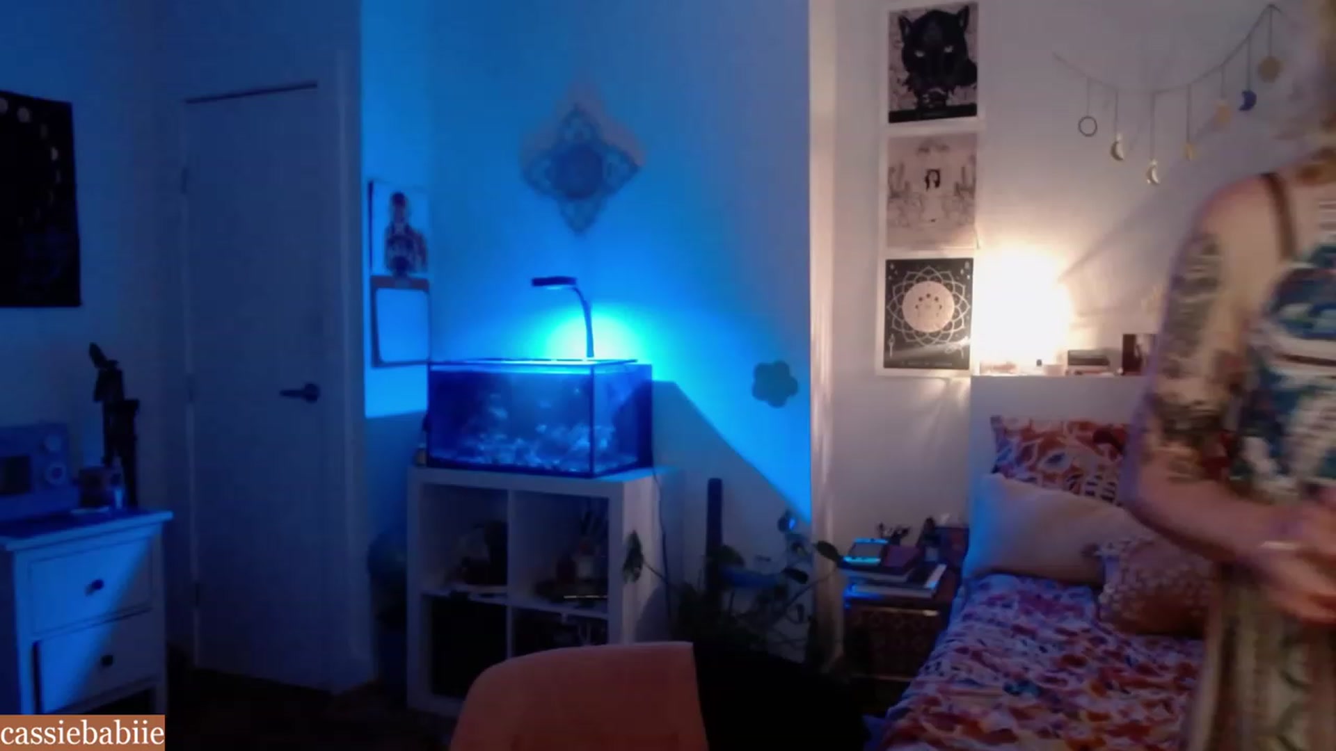 Gallery image thumbnail from CassieBabiie's myfreecams stream on, 07/12/2023, 02:53 image 2 of 20