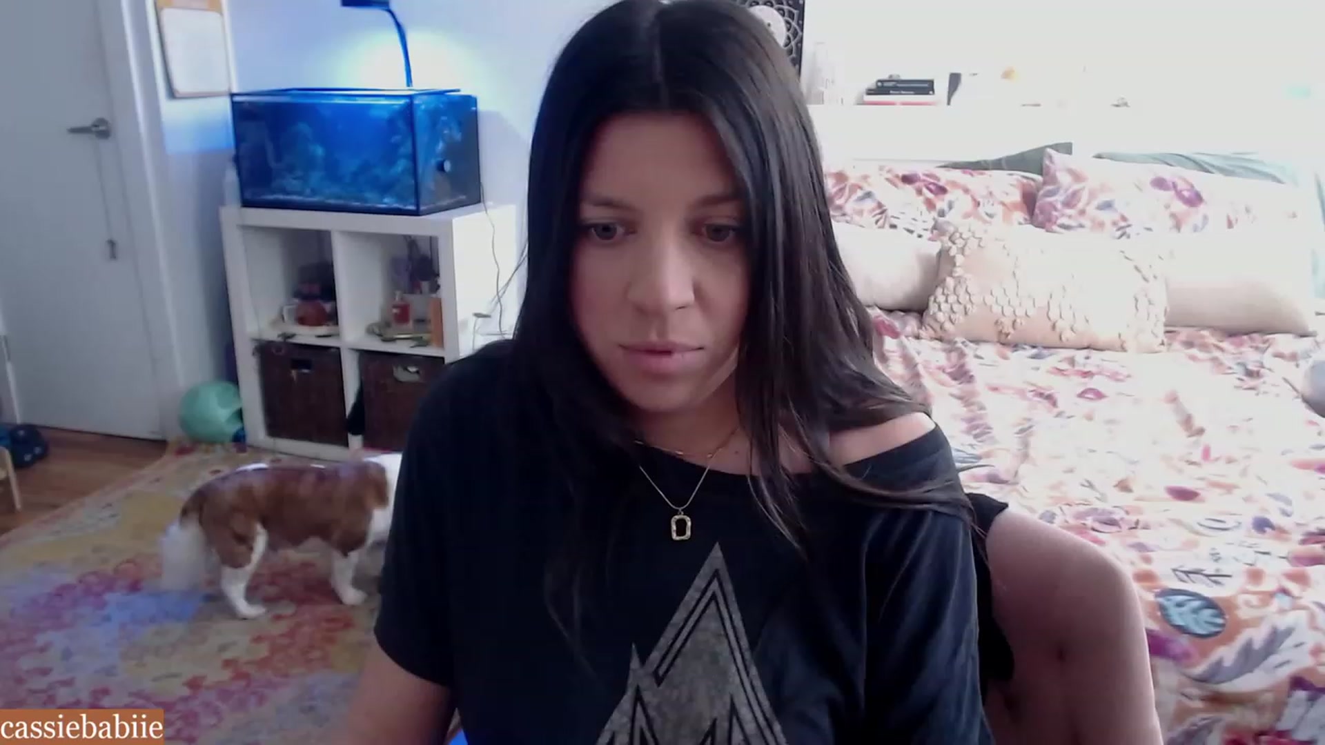 Gallery image thumbnail from CassieBabiie's myfreecams stream on, 11/17/2023, 17:17 image 20 of 20
