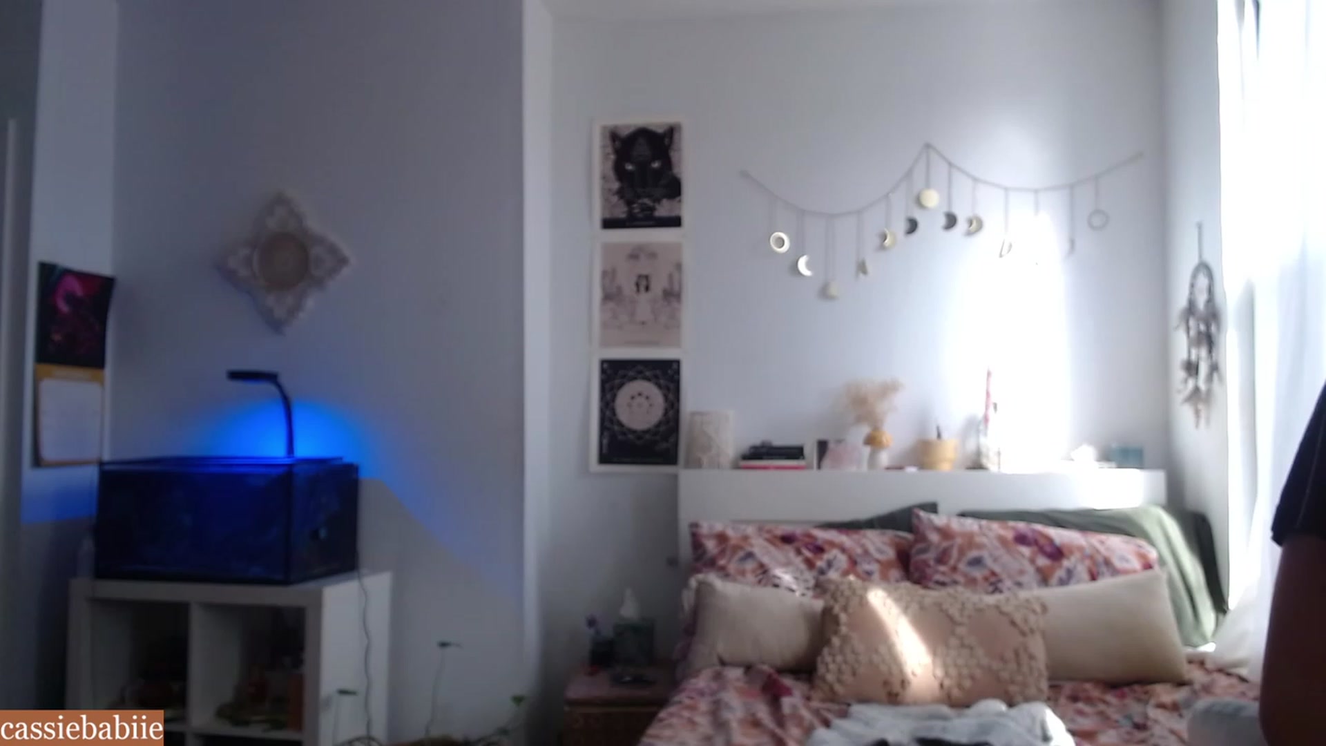 Gallery image thumbnail from CassieBabiie's myfreecams stream on, 11/17/2023, 17:17 image 1 of 20