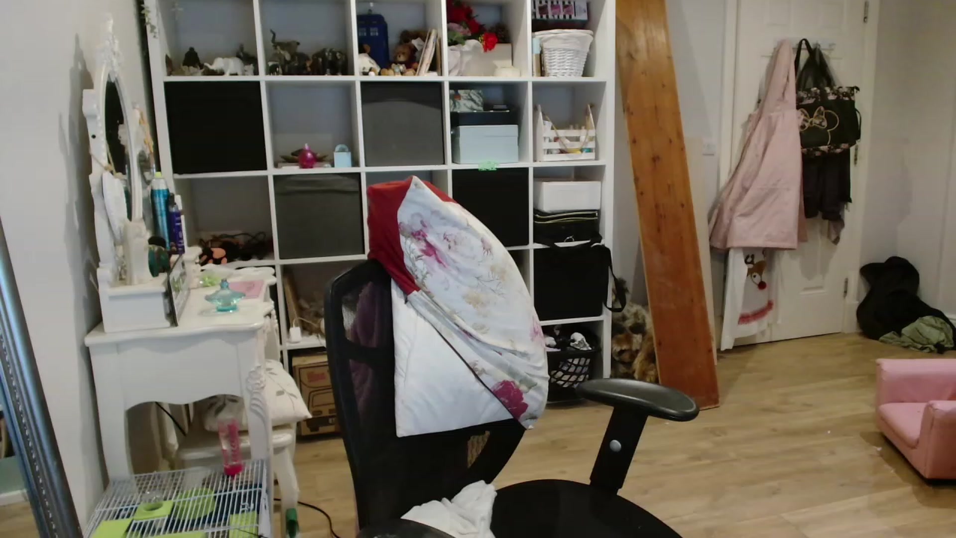 Gallery image thumbnail from CassieBrookes's myfreecams stream on, 11/17/2023, 17:07 image 12 of 20