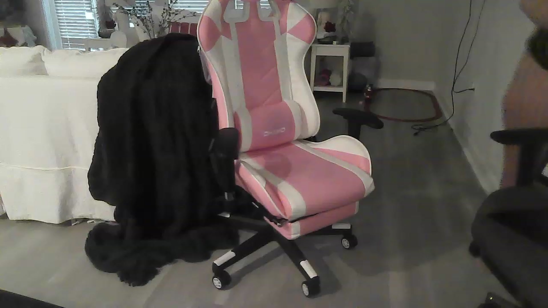 Gallery image thumbnail from CassieCarson's myfreecams stream on, 11/18/2022, 16:49 image 19 of 20