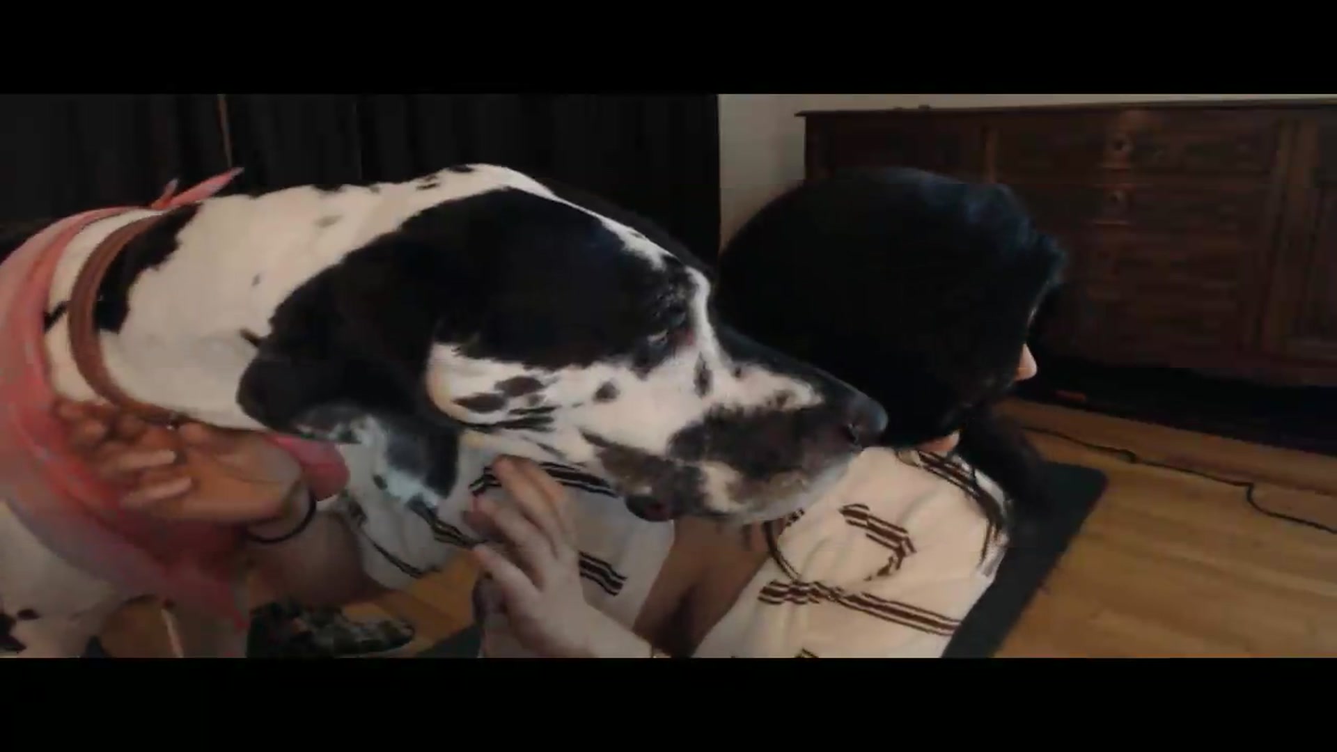 Gallery image thumbnail from Cassie_'s myfreecams stream on, 07/20/2026, 12:49 image 3 of 20